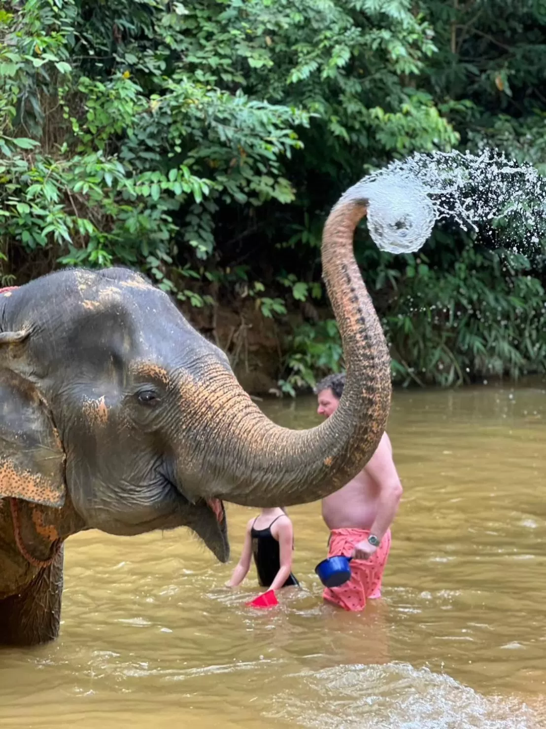 Khaosok Rainforest Resort