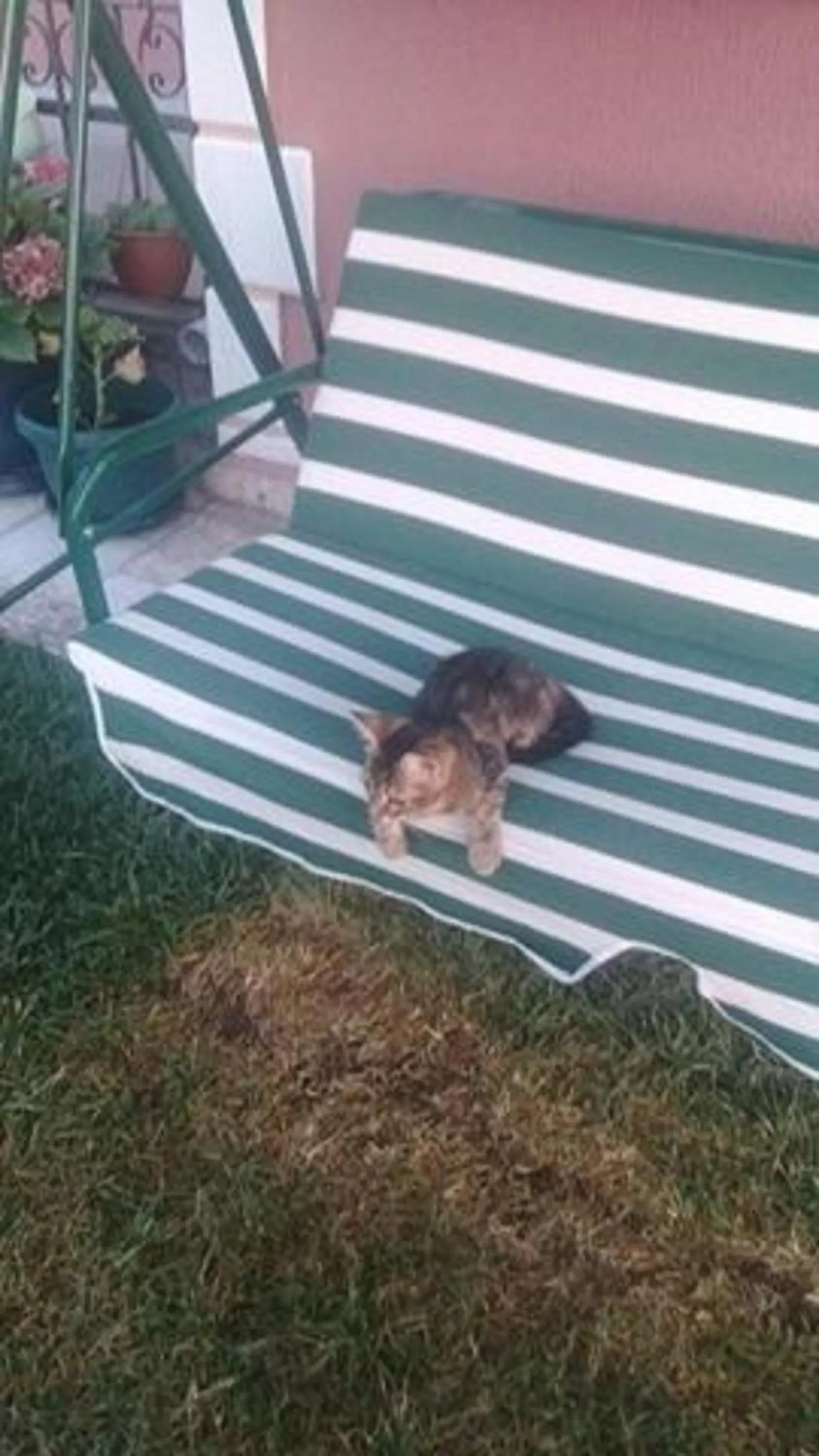 Day in Ede Apart Otel