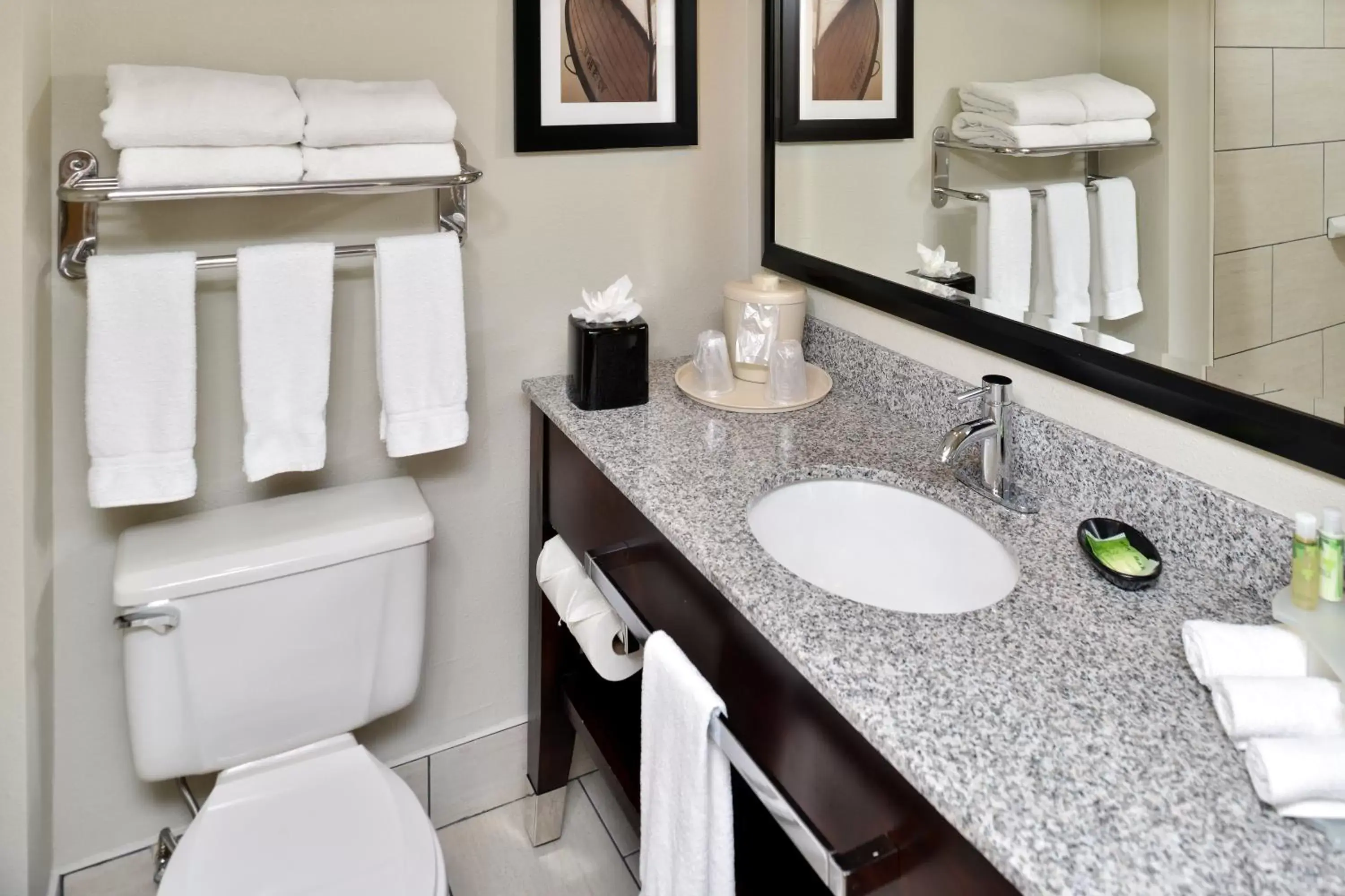 Bathroom in Holiday Inn Express Hotel & Suites Tampa-Rocky Point Island, an IHG Hotel