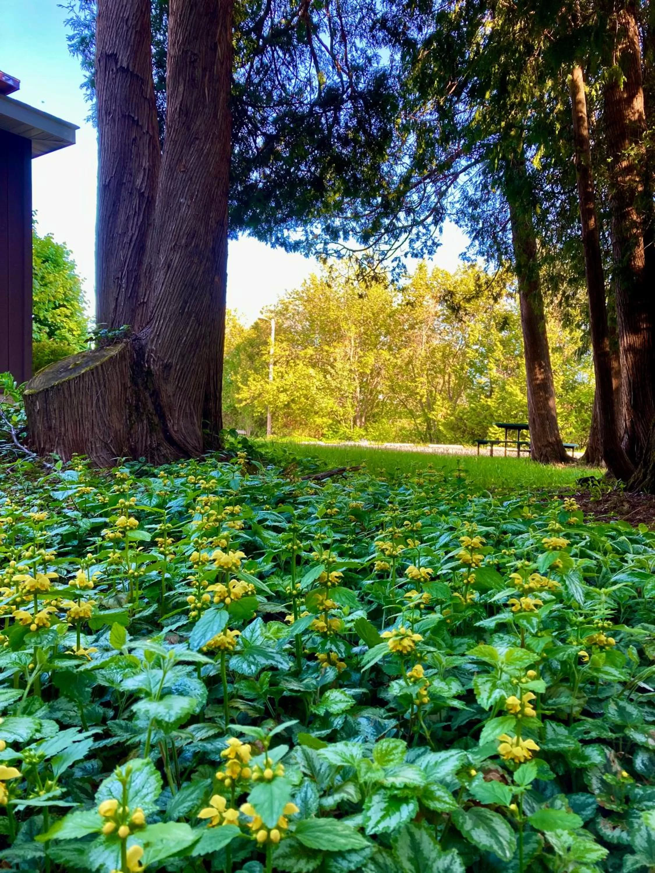 Natural landscape in Garden Grove Retreat & Lodging near Pictured Rocks, Fayette, Trails