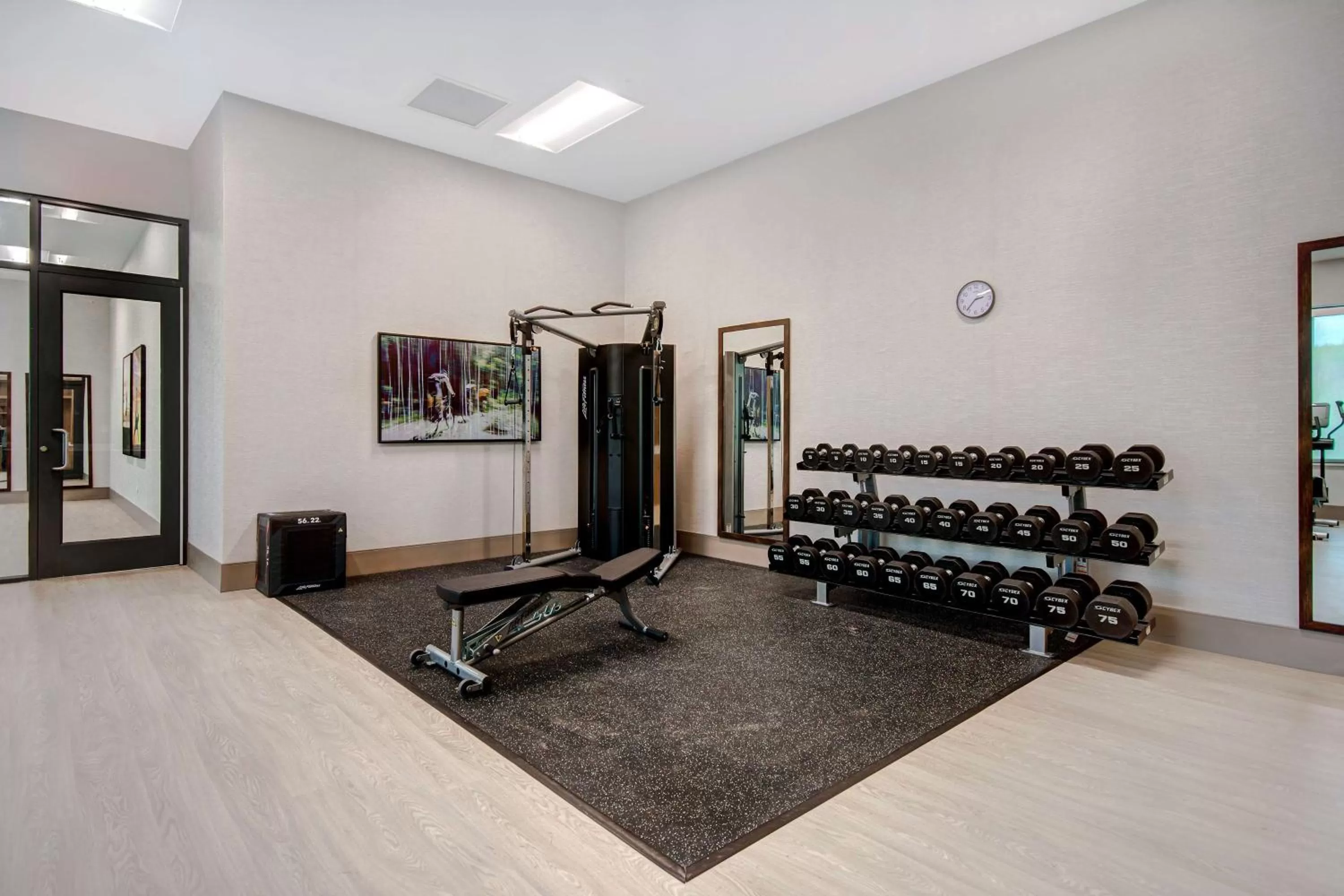 Fitness centre/facilities in Embassy Suites By Hilton Alpharetta Halcyon