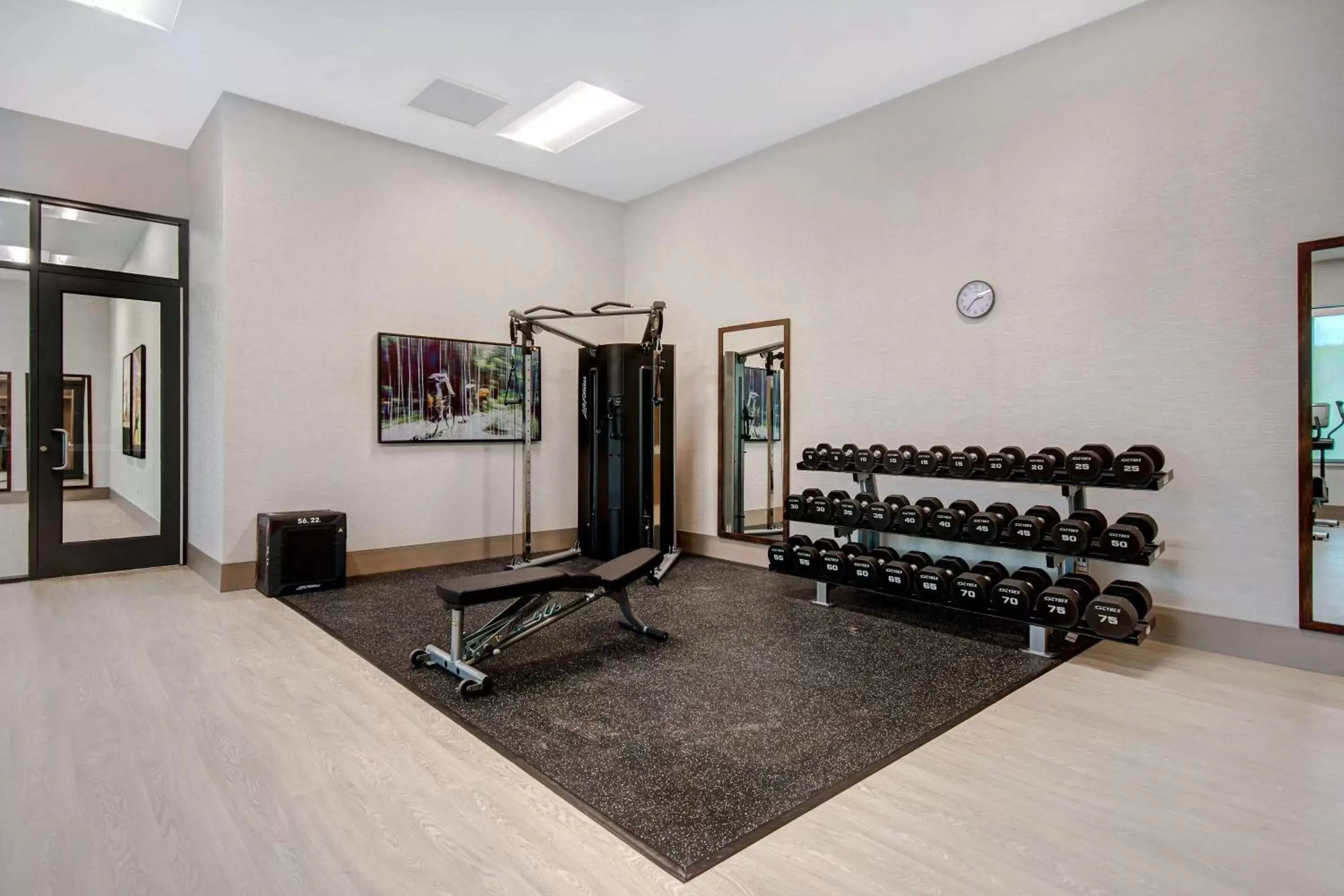 Fitness centre/facilities, Fitness Center/Facilities in Embassy Suites By Hilton Alpharetta Halcyon