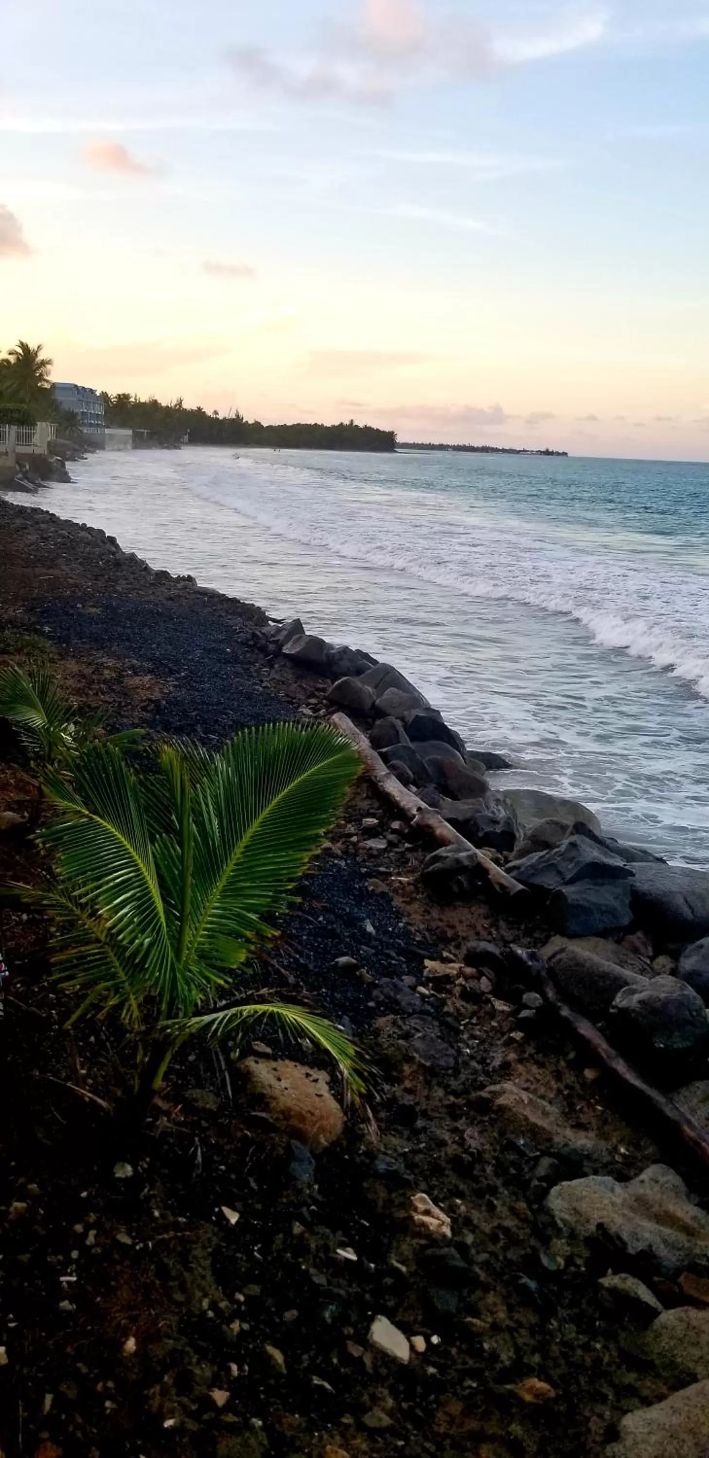 Natural landscape in Selva Boutique Hotel - Luquillo Oceanfront Retreat - Adults Only