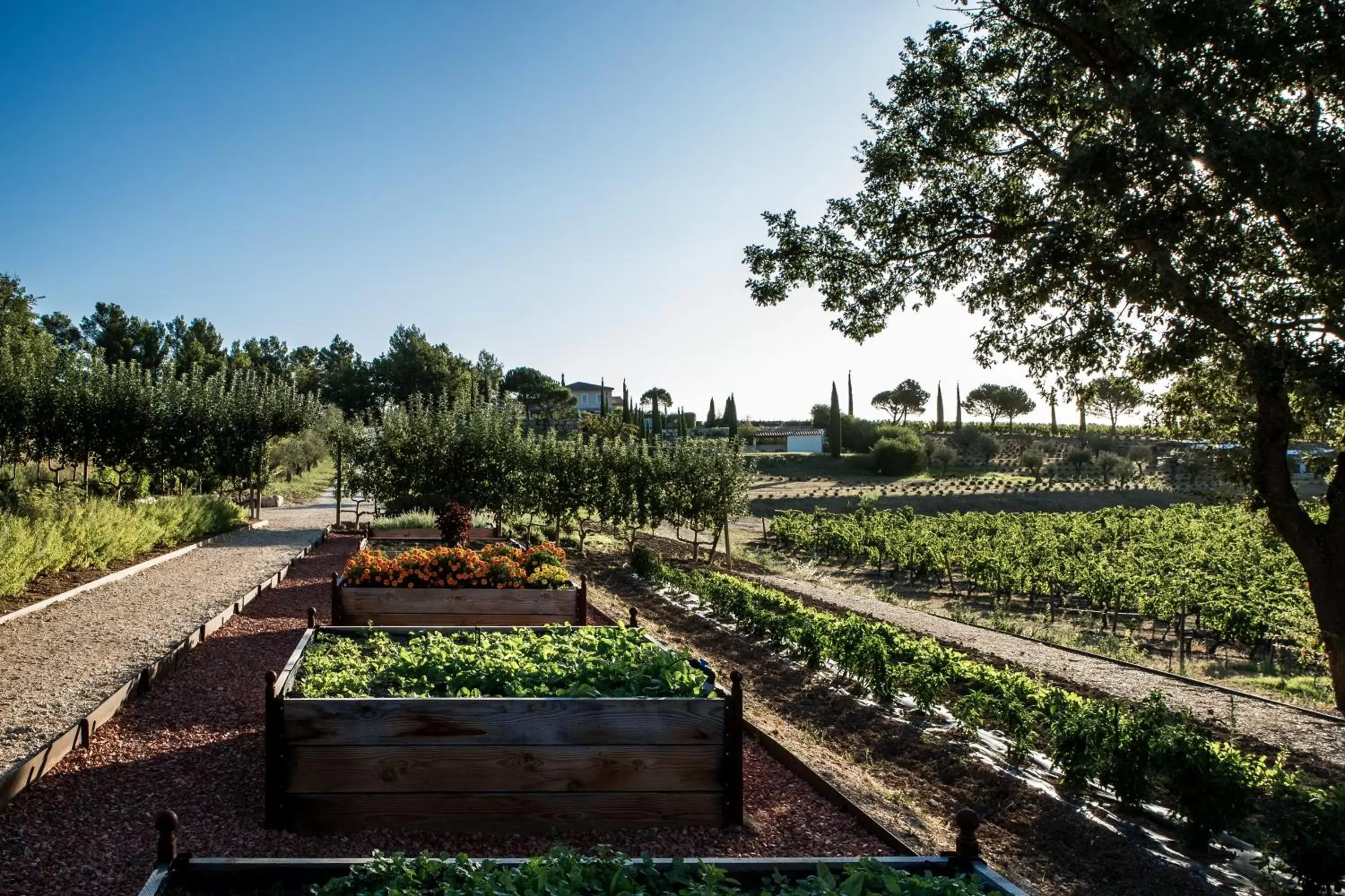 Garden in Coquillade Provence