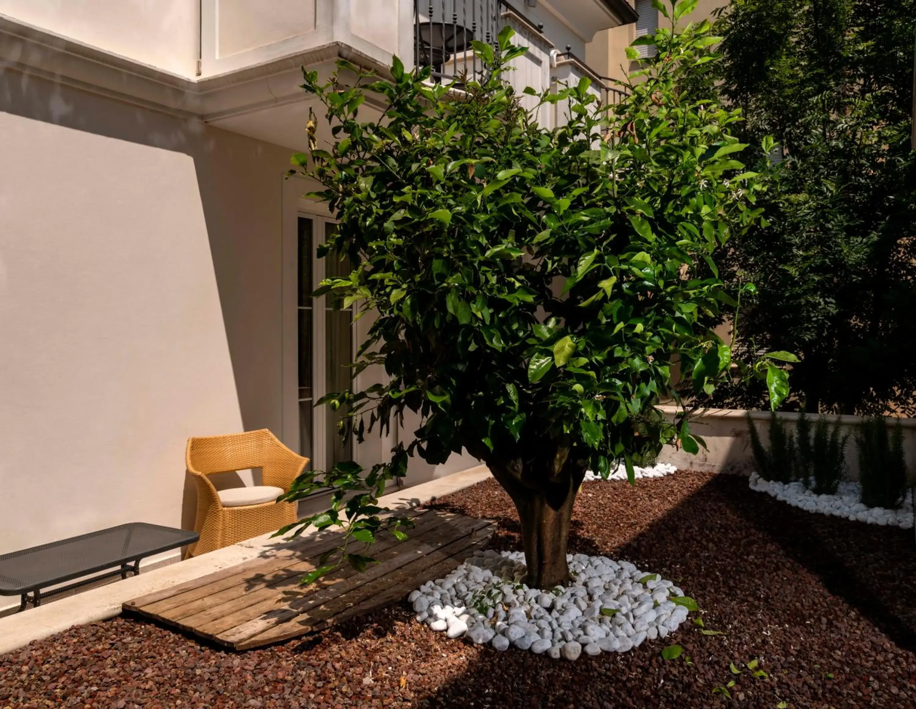 Garden in Accademia Hotel