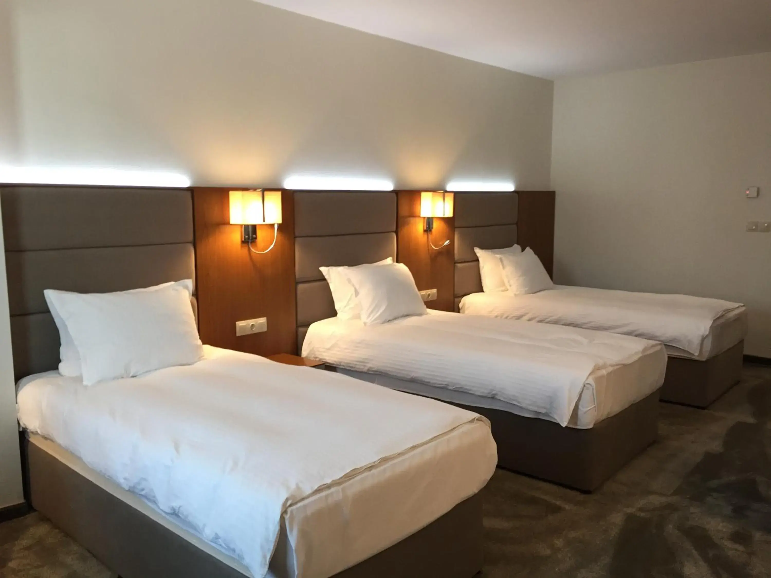 Photo of the whole room, Bed in Hotel Golden Tulip Varna Photo of the whole room, Bed in Hotel Golden Tulip Varna