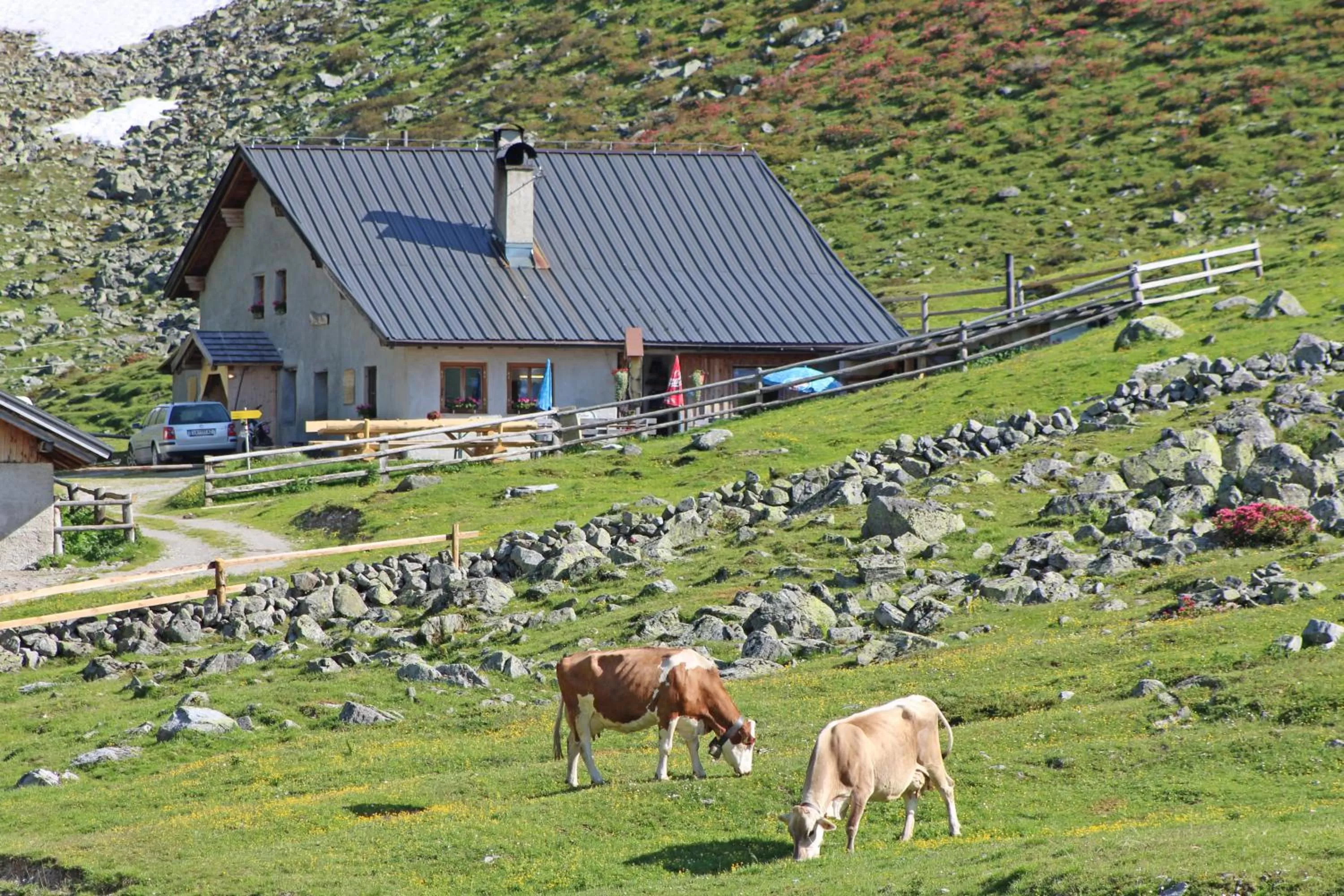 Spring in Pension Fuchs