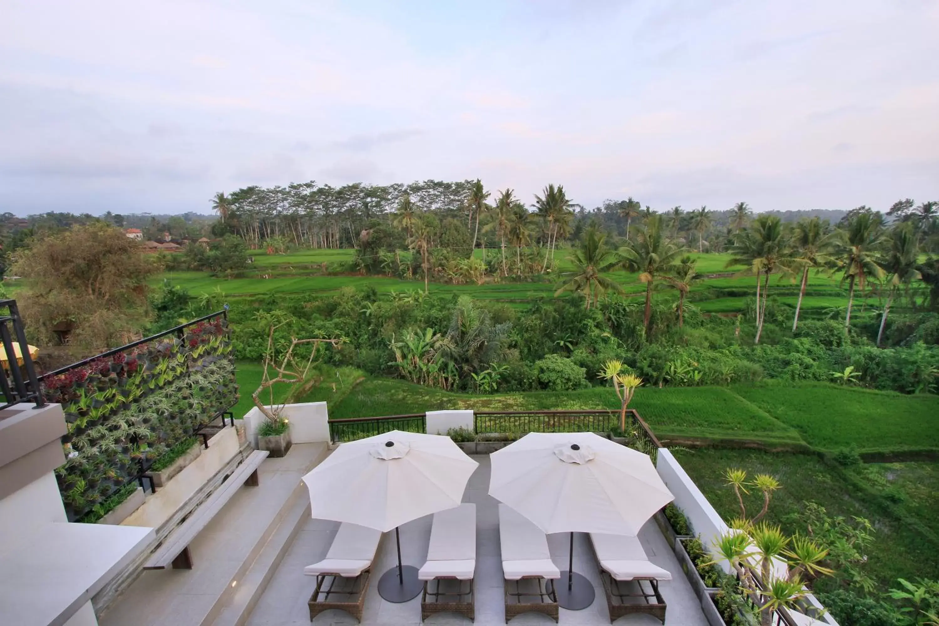 Natural landscape in Puri Padma Hotel