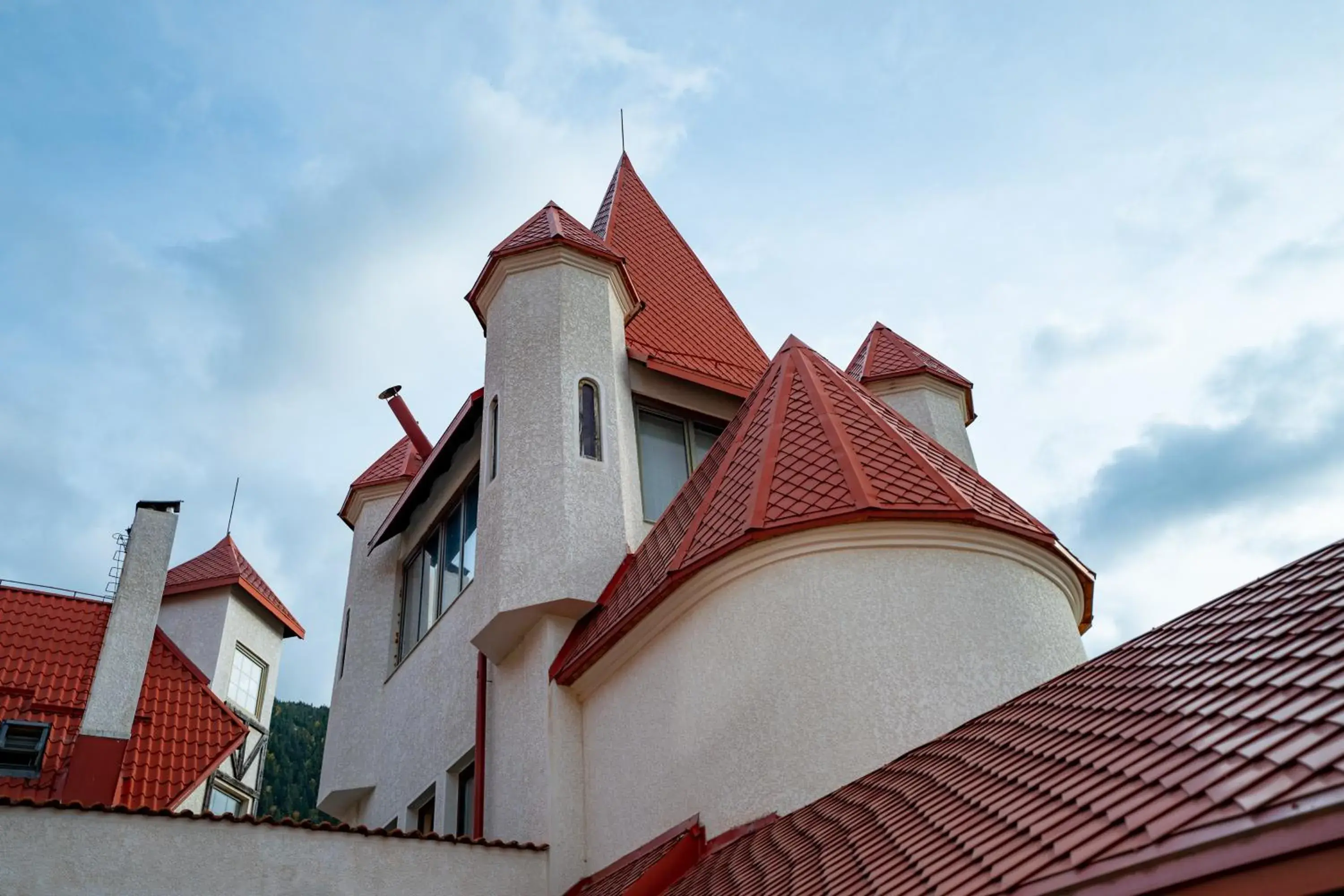 Decorative detail, Property Building in House of Dracula Hotel