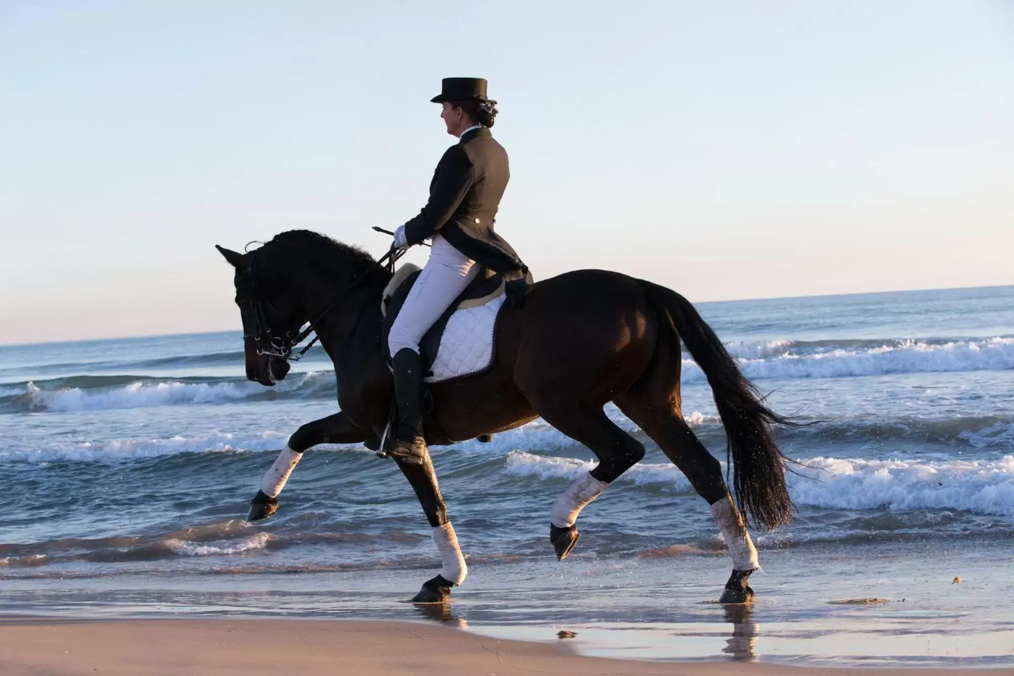 Animals, Horseback Riding in Pensión Los Caballos