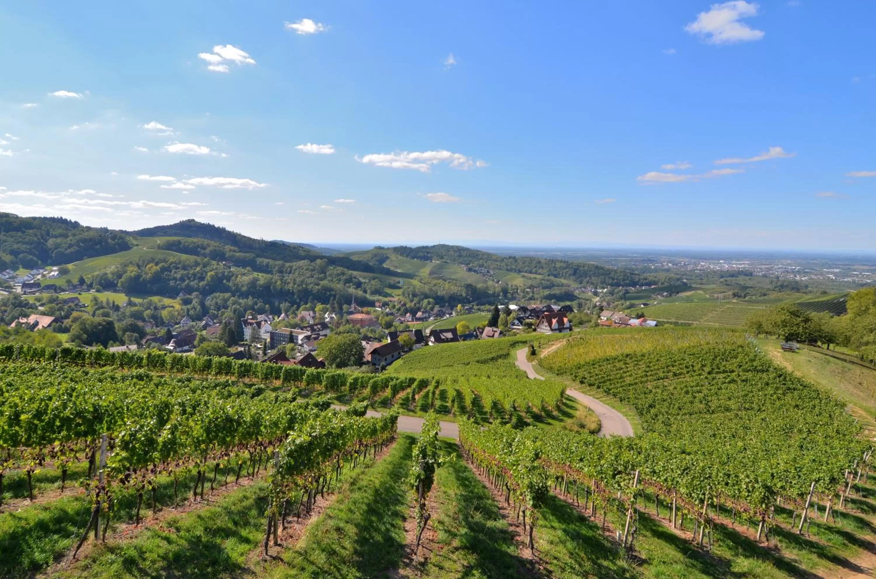 Natural landscape in RelaxHotel Tannenhof