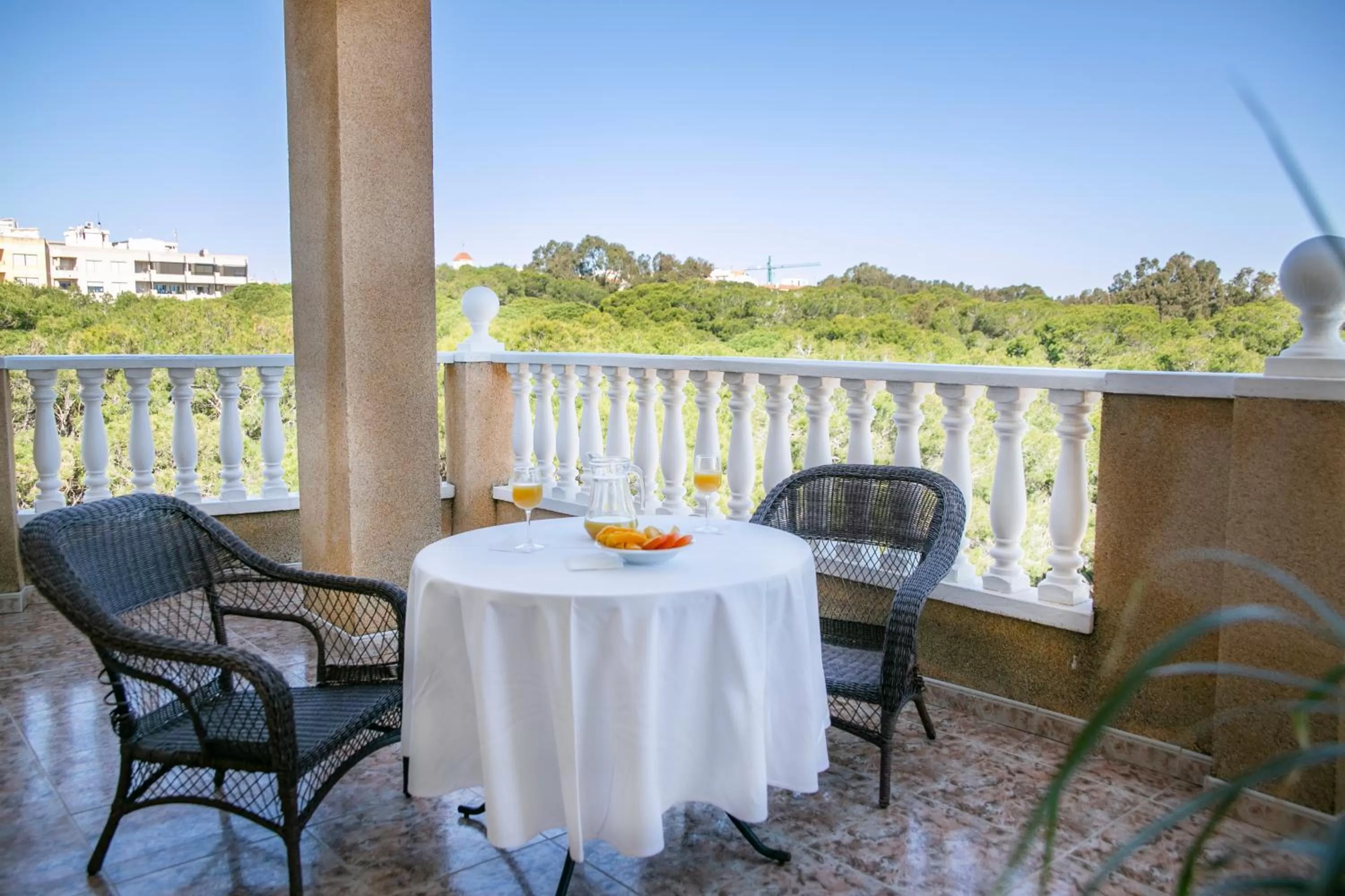 Balcony/Terrace in Hotel ParqueMar