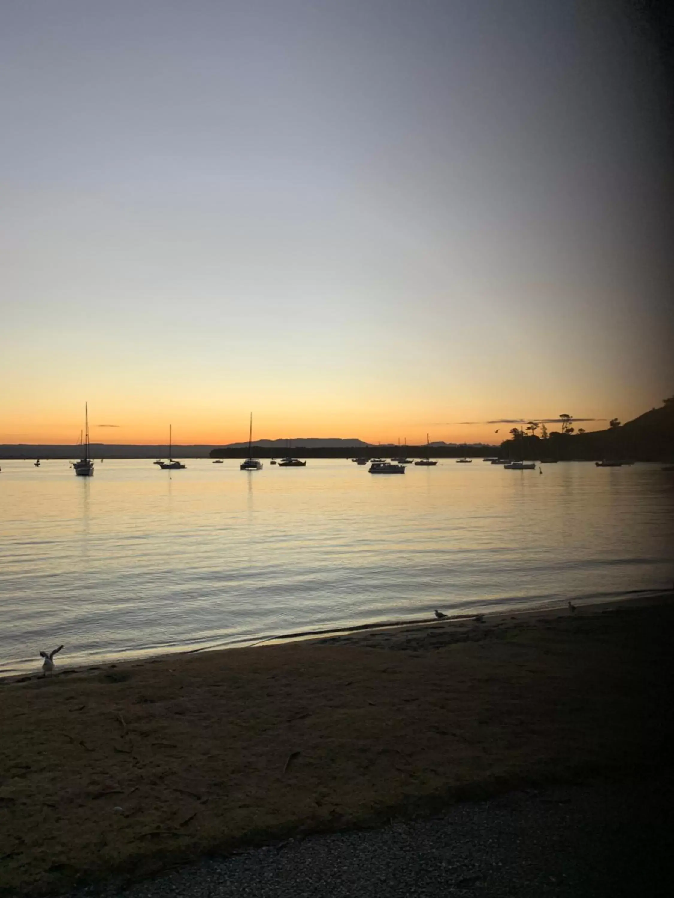 Beach in Hotel Armitage and Conference Centre