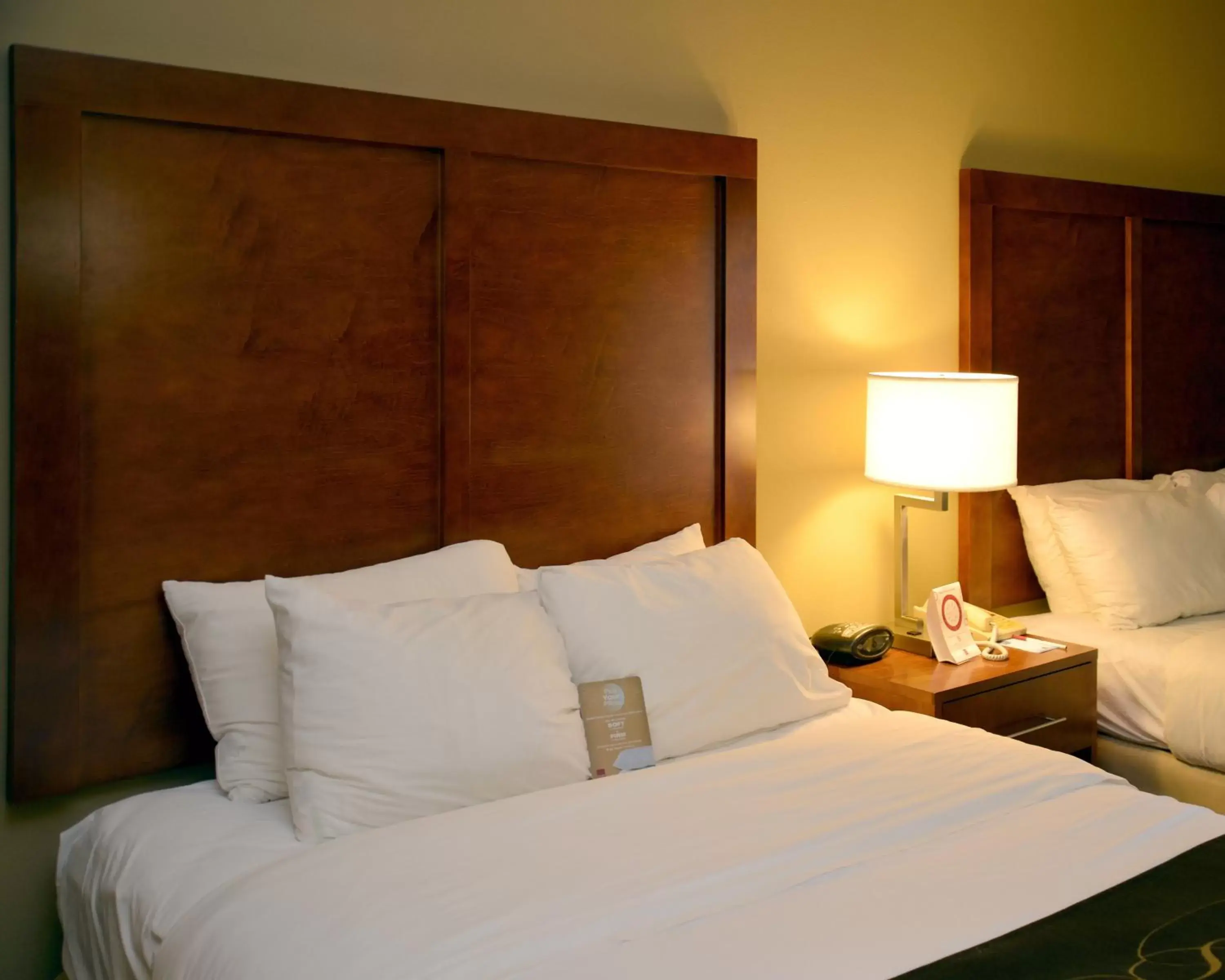 Queen Suite with Two Queen Beds - Non-Smoking in Comfort Suites