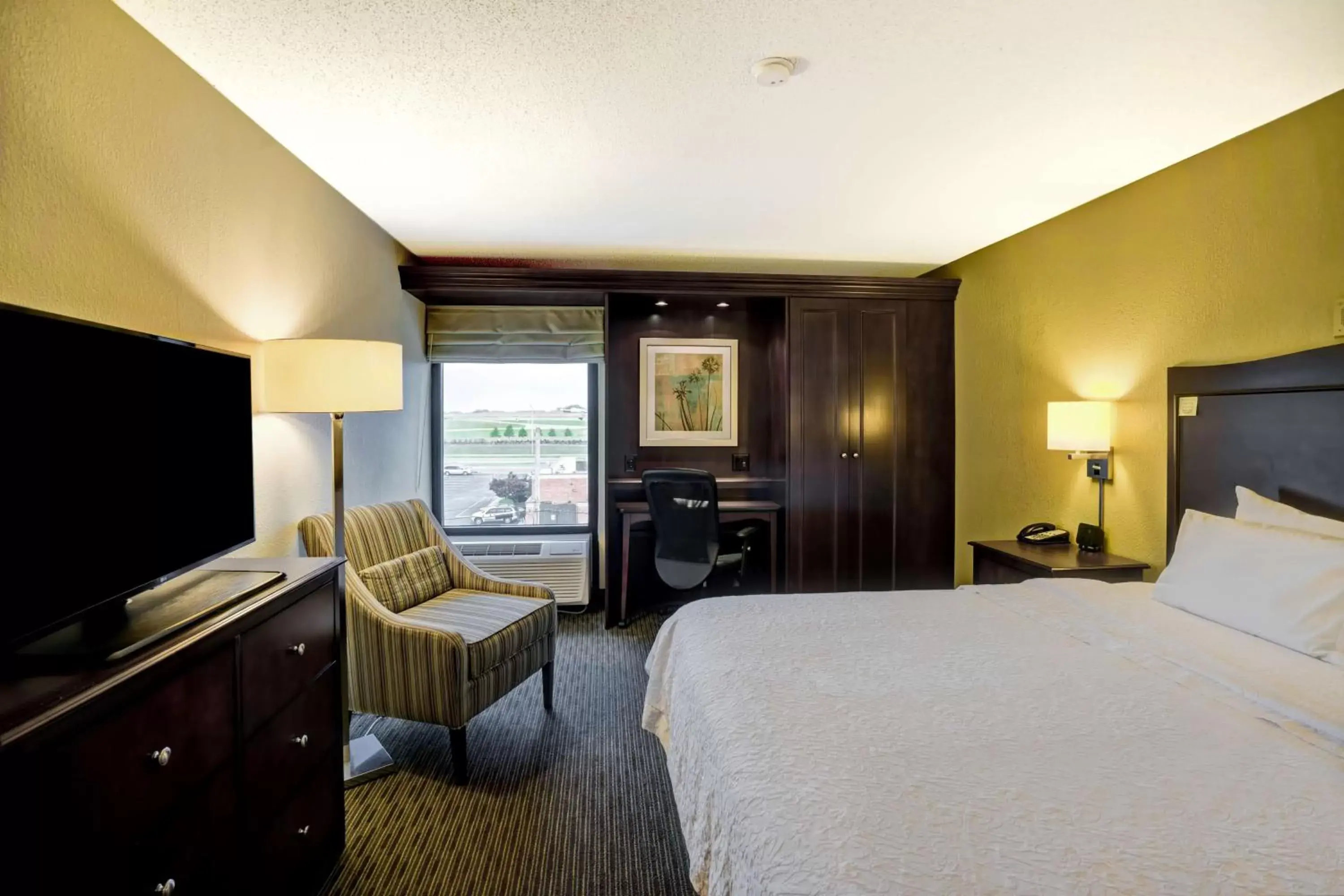 Bed, TV/Entertainment Center in Hampton Inn Knoxville-Airport