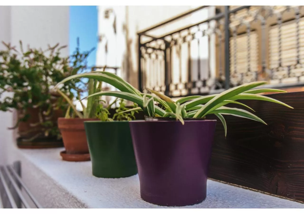 Patio in Arco Naxos Luxury Apartments