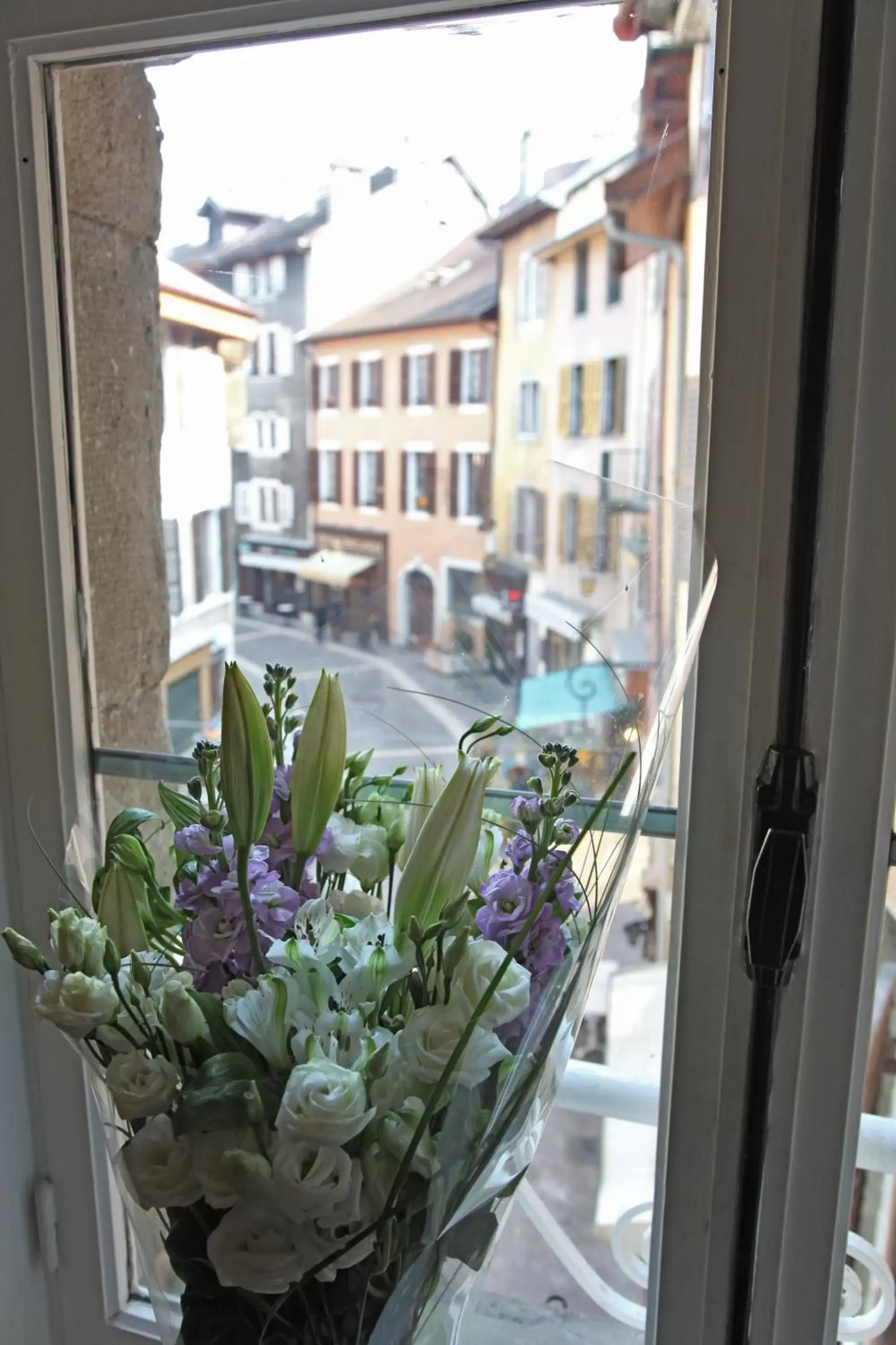 View (from property/room) in Icône Hôtel - Annecy