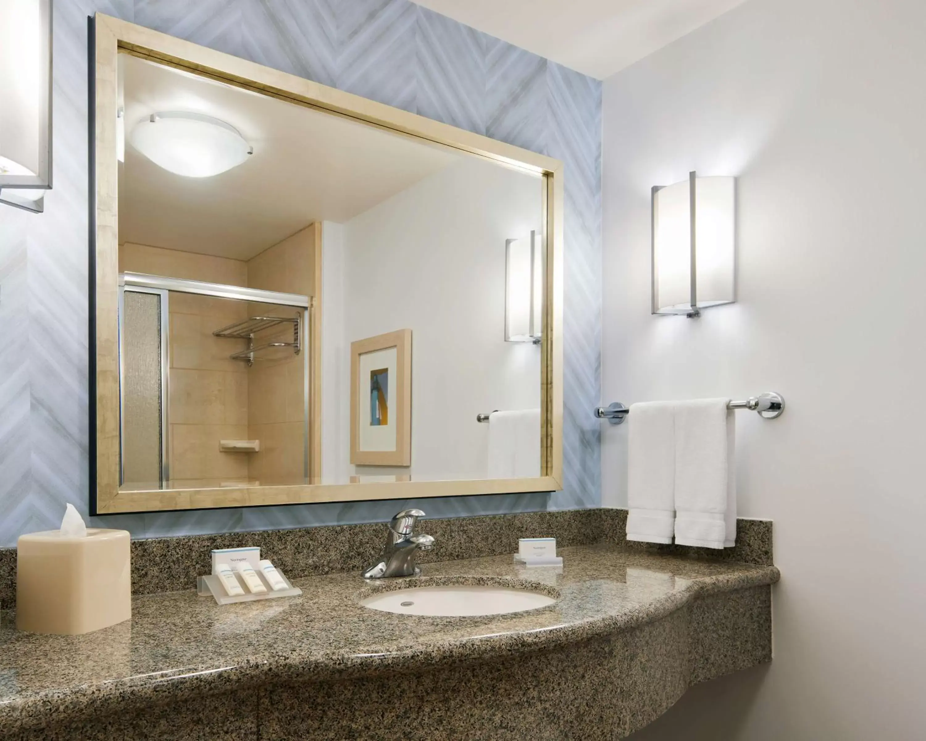 Bathroom in Hilton Garden Inn Dallas Richardson