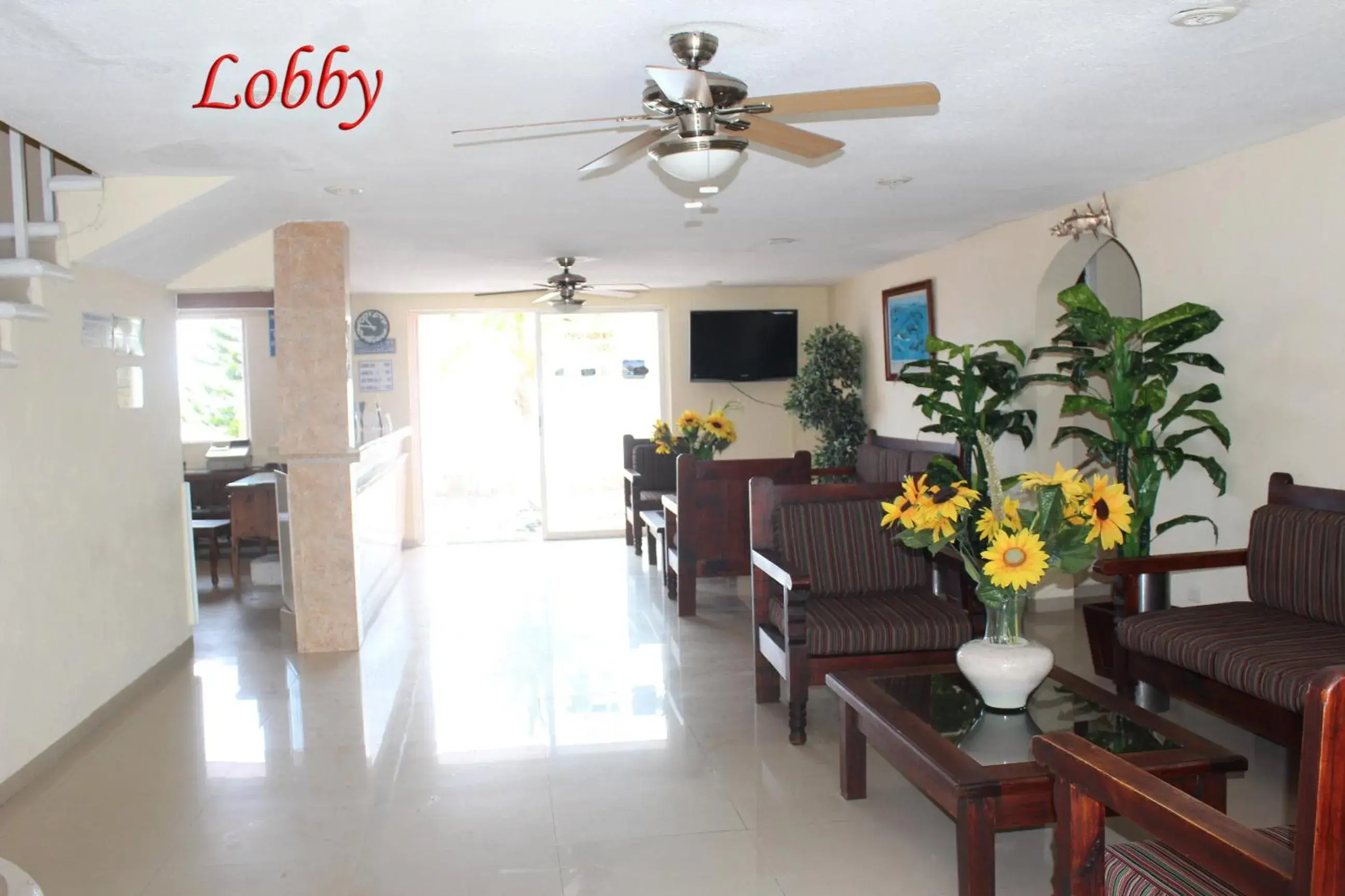 Lobby/Reception in Hotel Barracuda