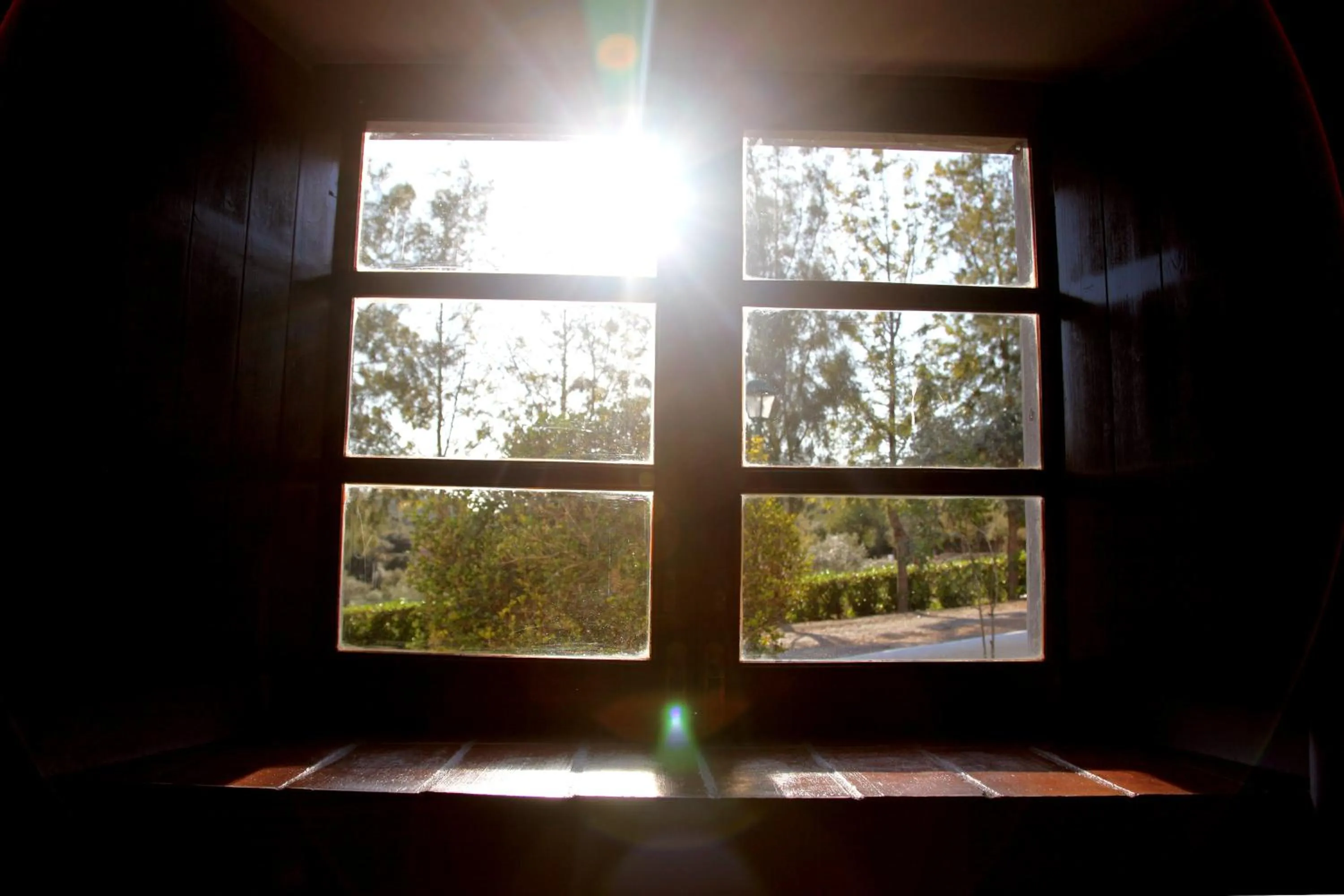 Spring in Herdade Da Corte