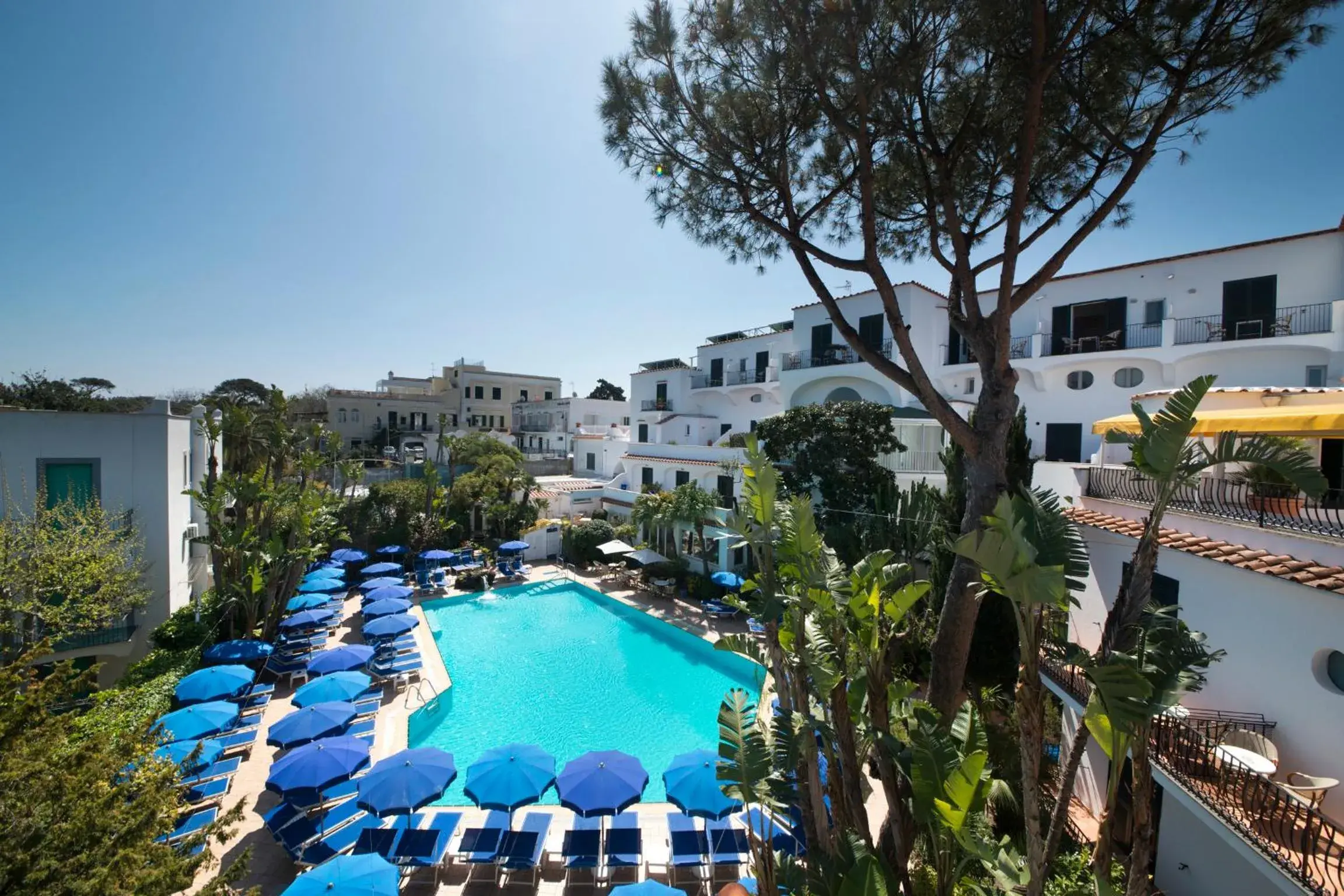 Spring, Pool View in Hotel Floridiana Terme