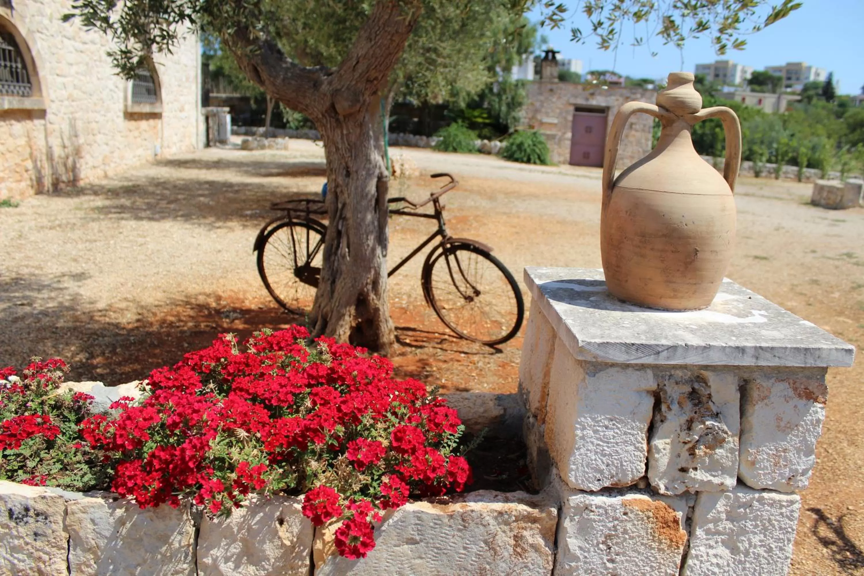 Garden in Masseria Tolla
