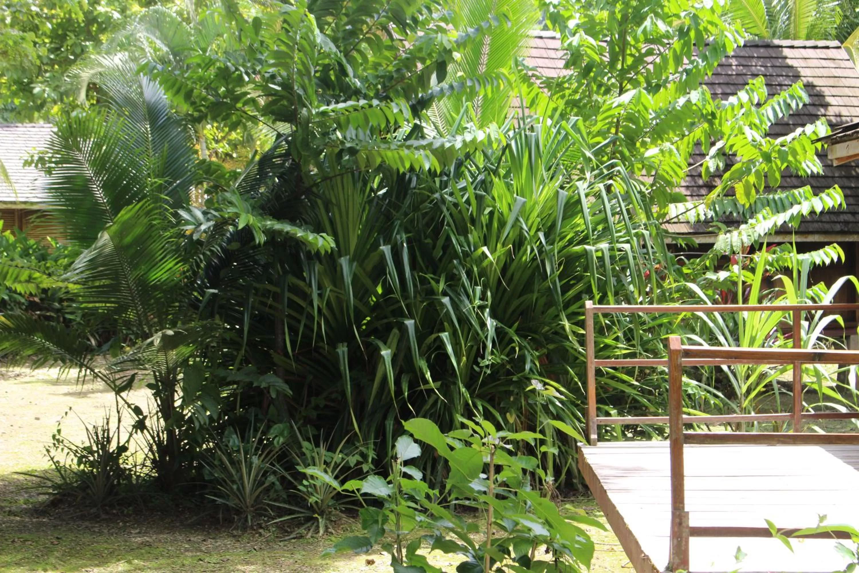Patio in Acajou Hotel