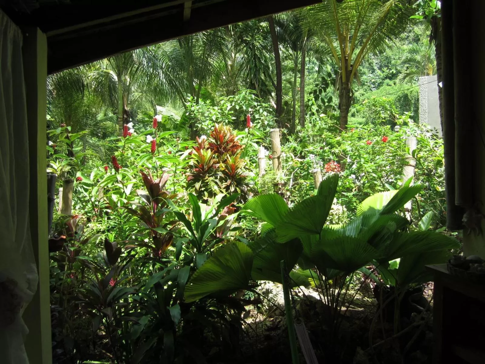 Garden view in Royal Cliff Resort