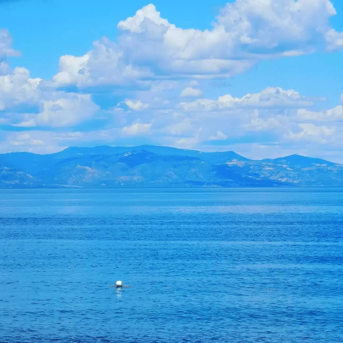 Natural landscape in La Piana degli Ulivi