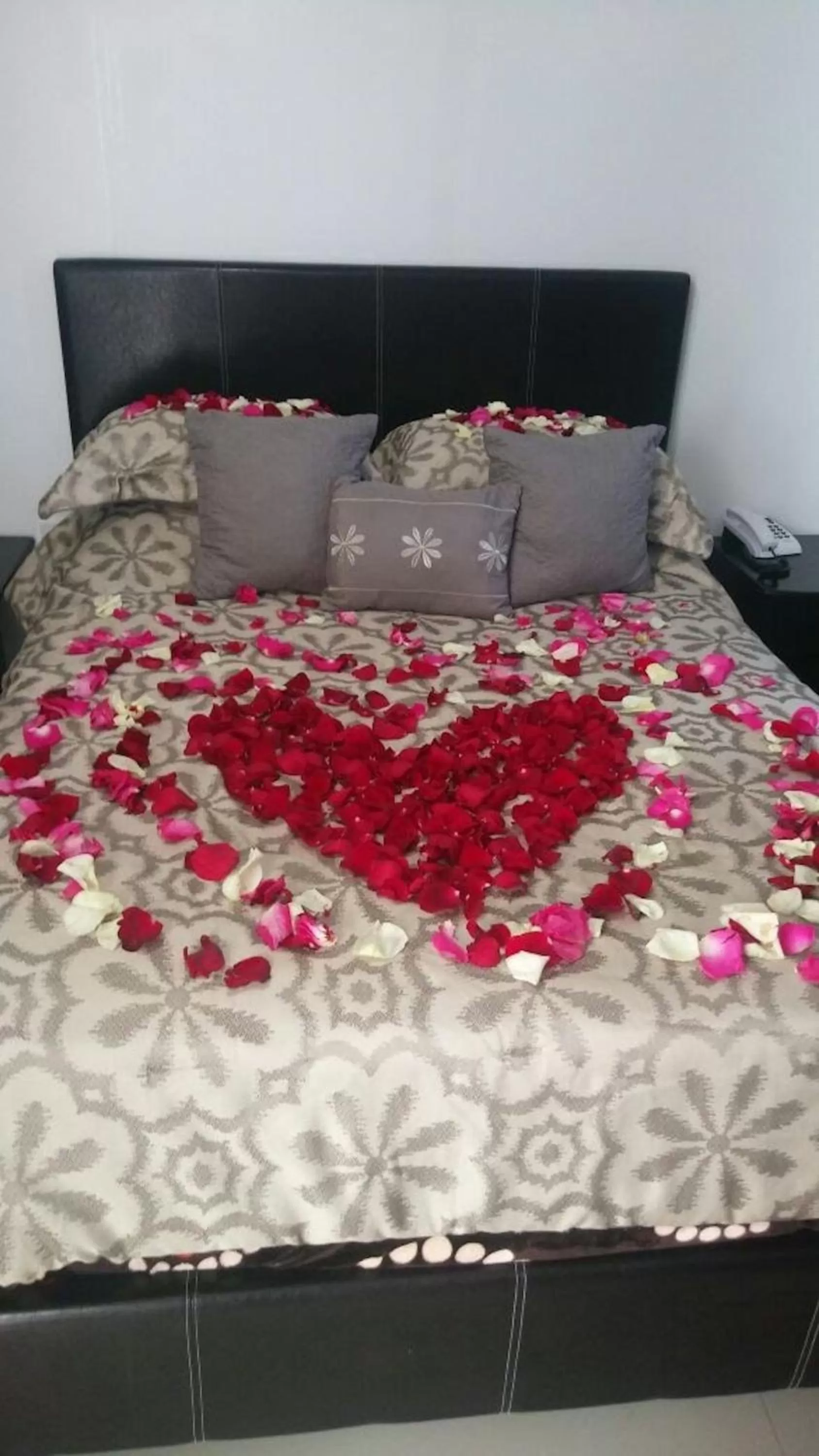 Other, Bed in La Aurora Hotel Like Home