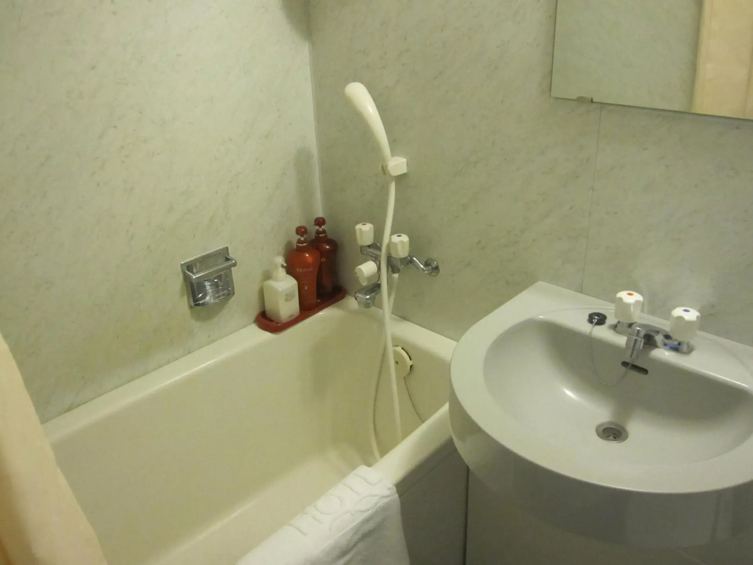 Bathroom in Asahikawa Toyo Hotel