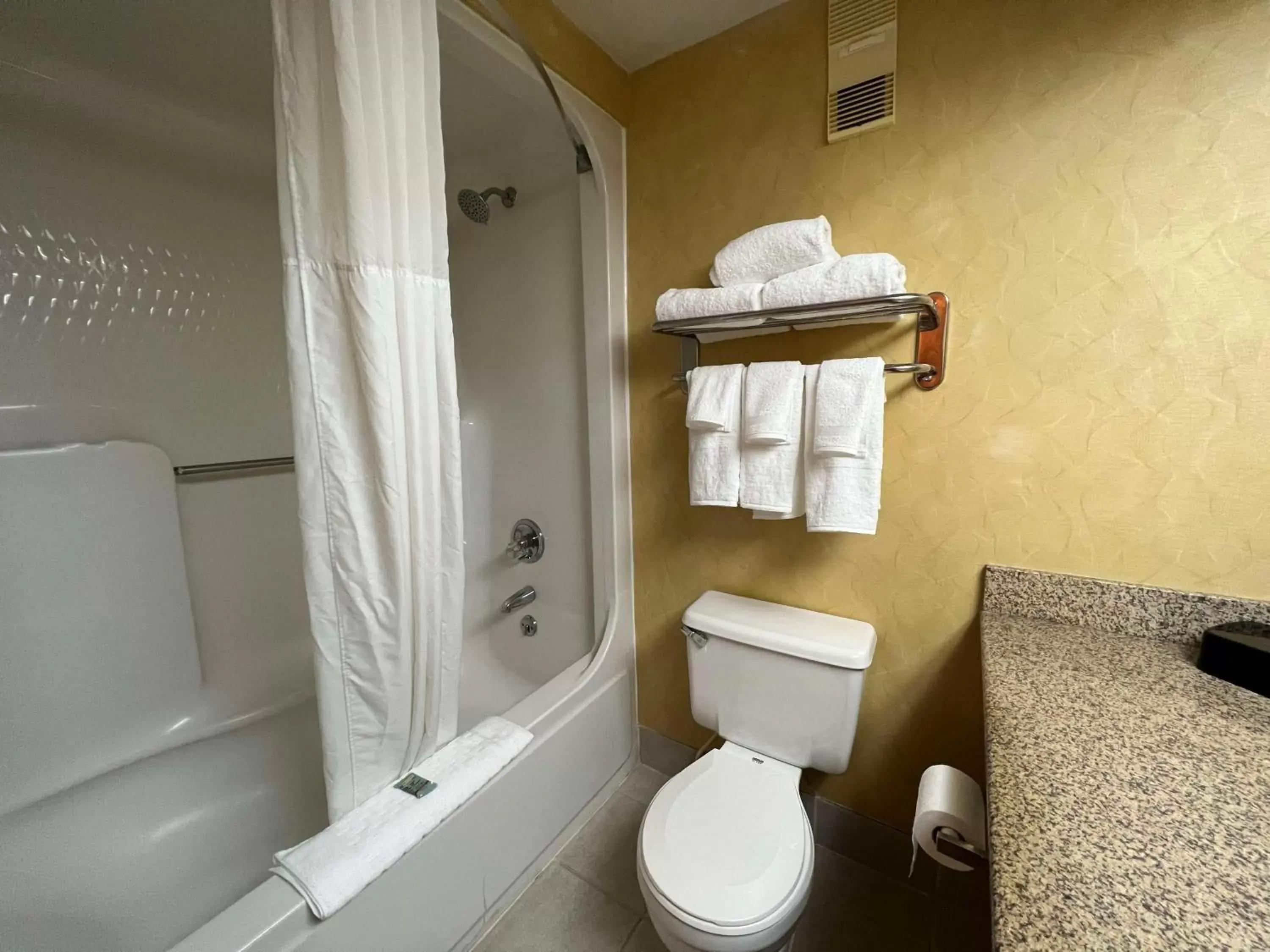 Bathroom in SureStay Plus Hotel by Best Western Hopkinsville