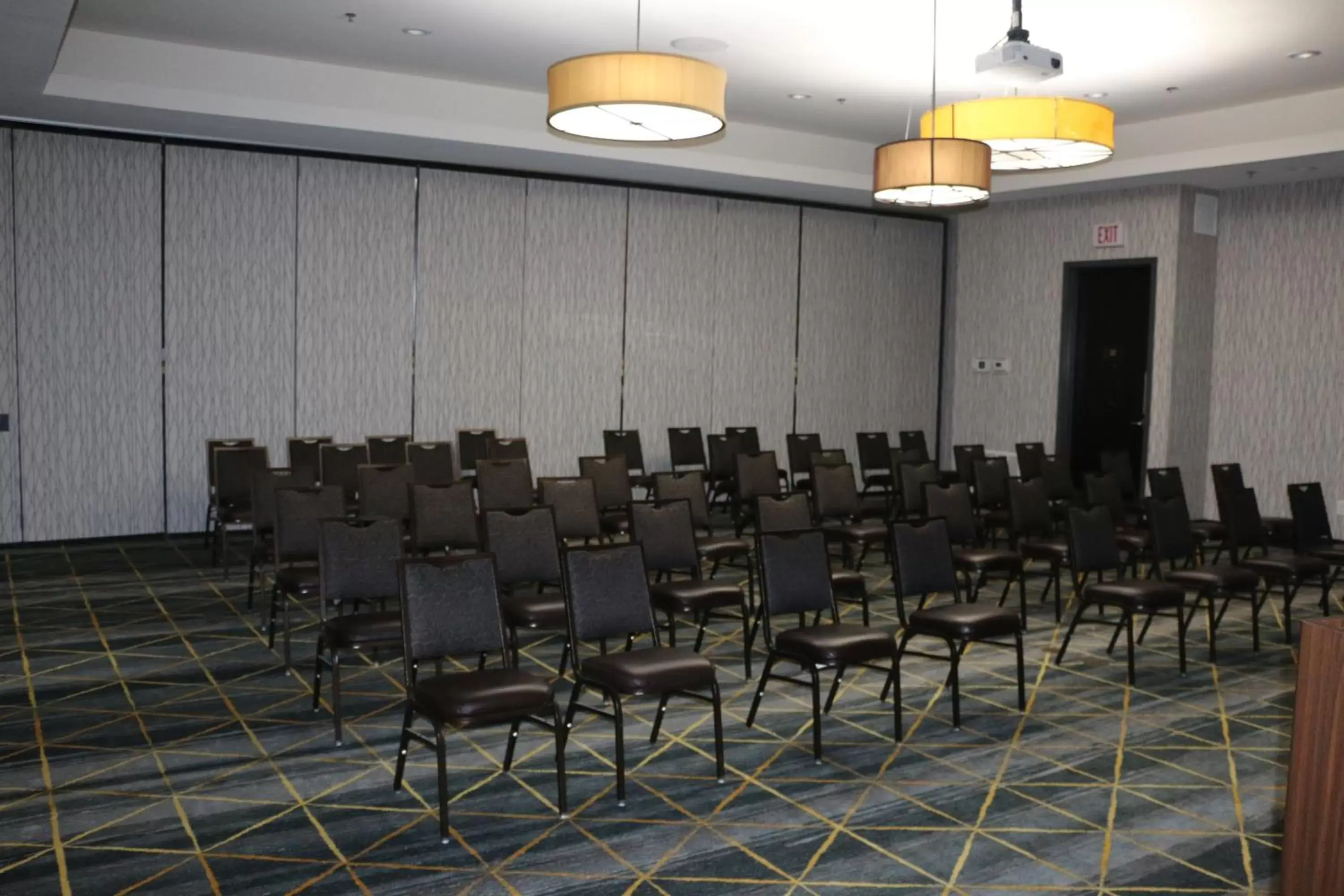 Meeting/conference room in Holiday Inn & Suites McKinney - N Allen, an IHG Hotel