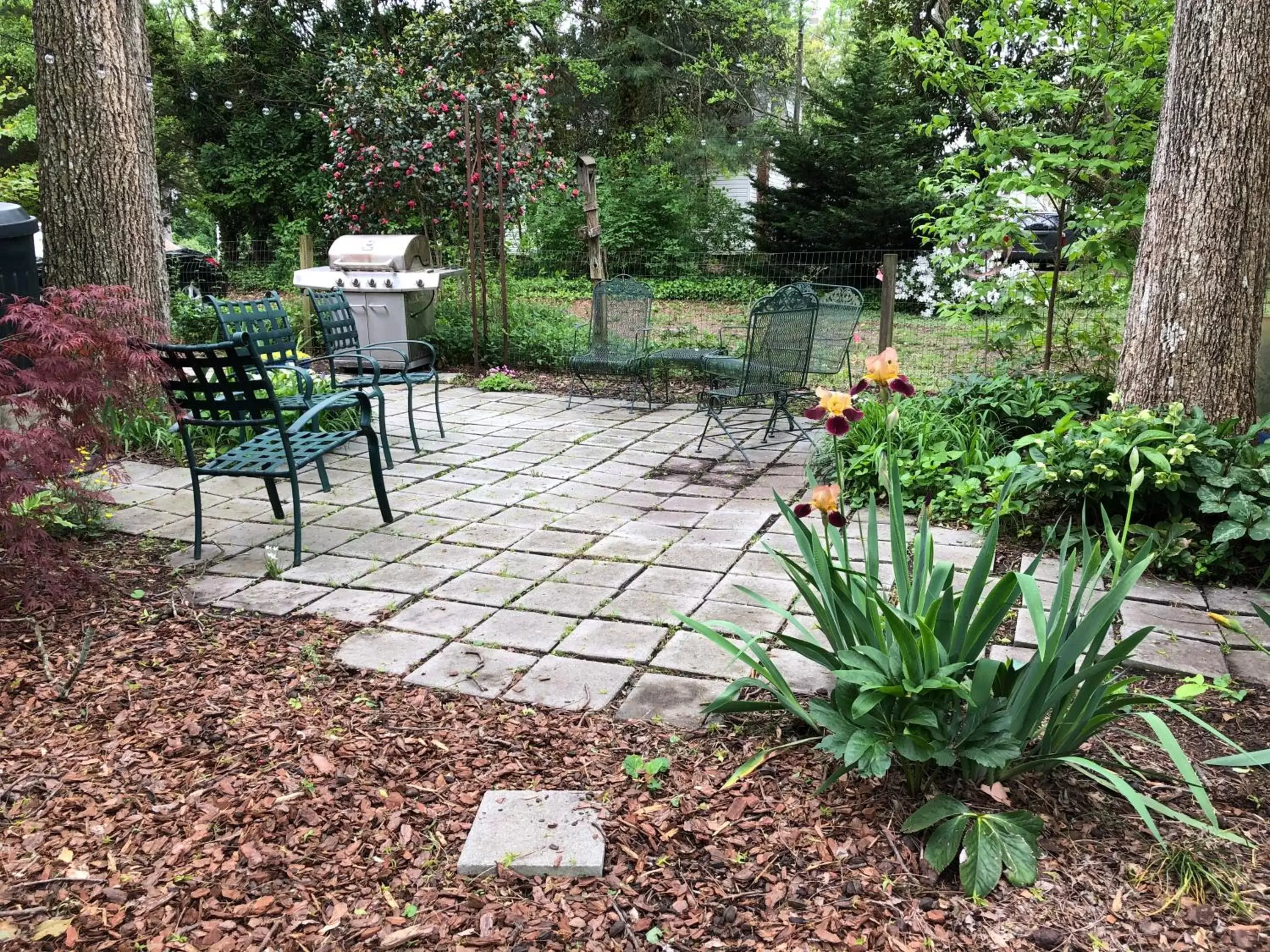 Patio in Magnolia House & Gardens B&B