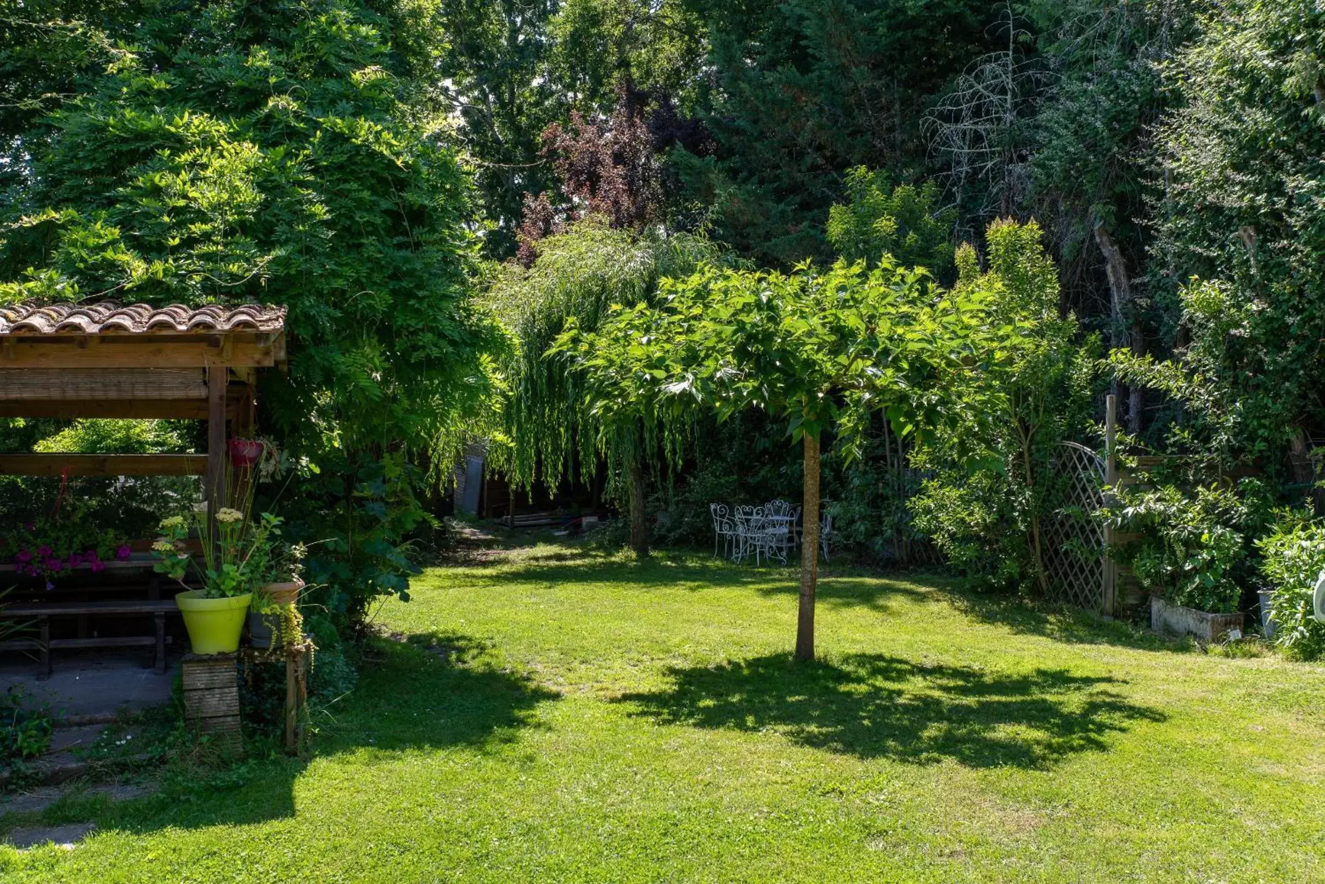 Garden in Maison Lucilda