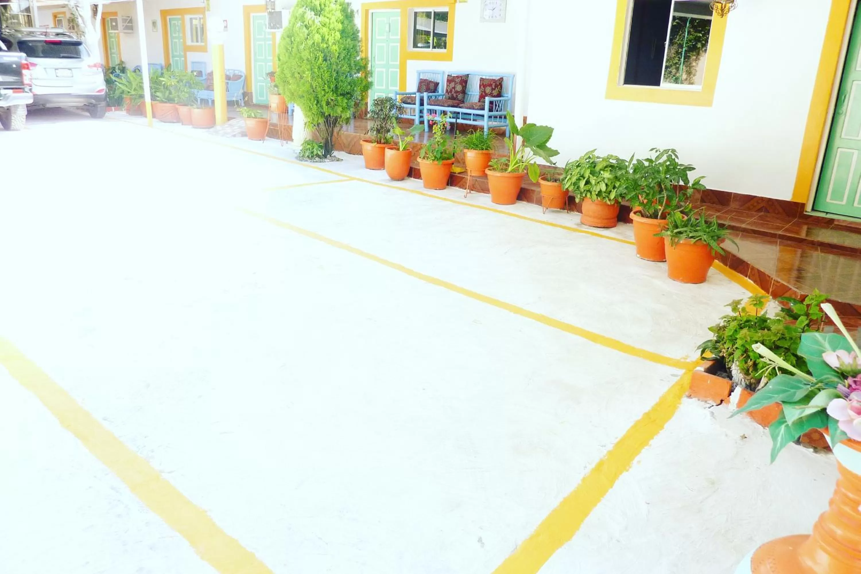 Natural landscape in Hotel Ivania´s