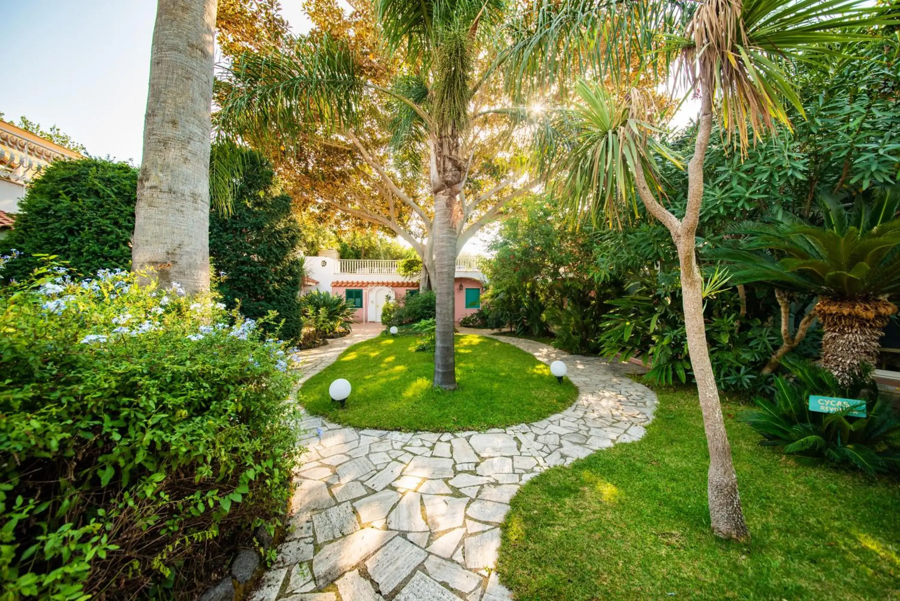 Garden in Hotel Continental Ischia