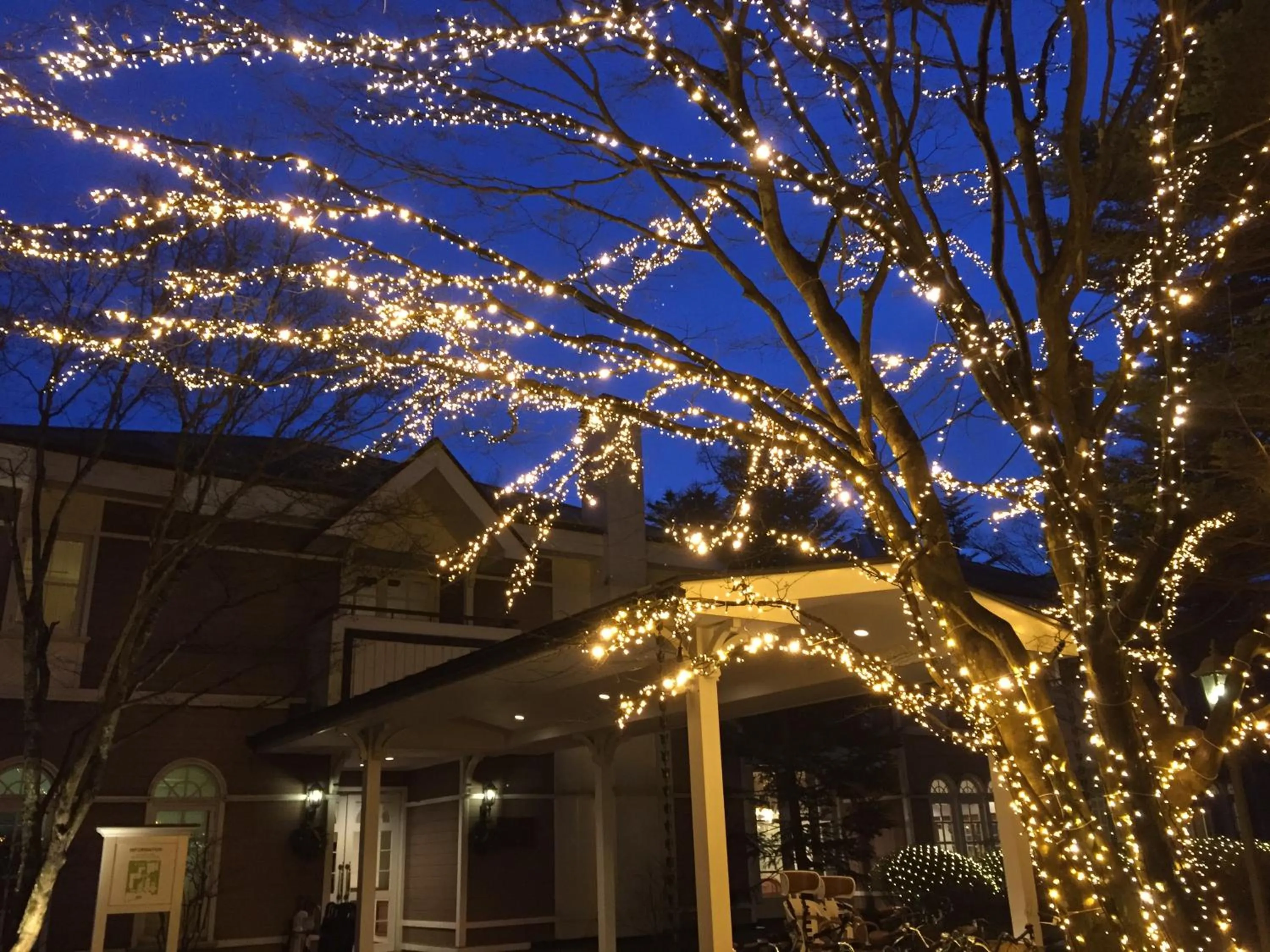 Decorative detail in Kyu Karuizawa Hotel Otowa No Mori