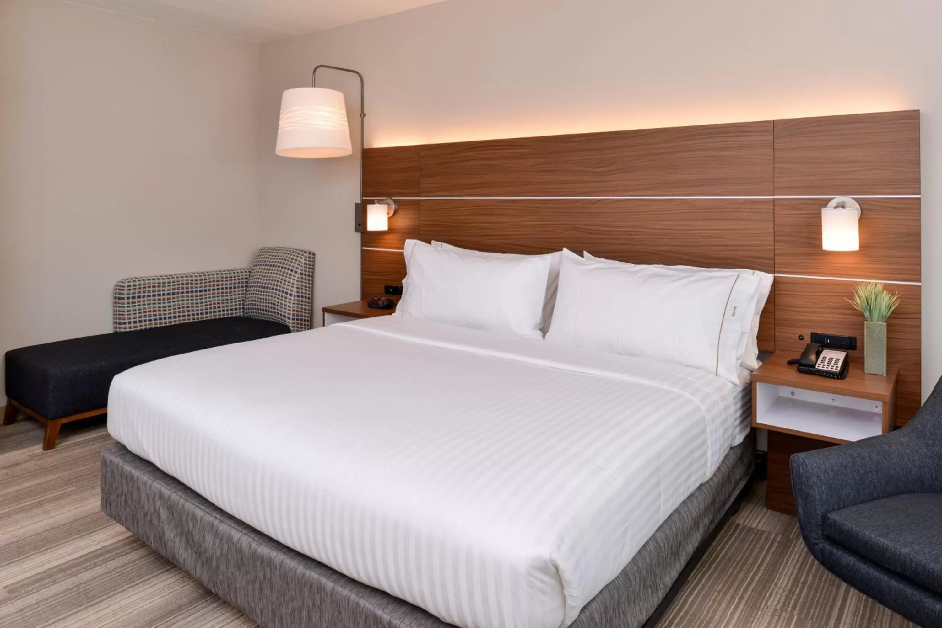 Bed in Holiday Inn Express & Suites - St. Petersburg - Madeira Beach, an IHG Hotel