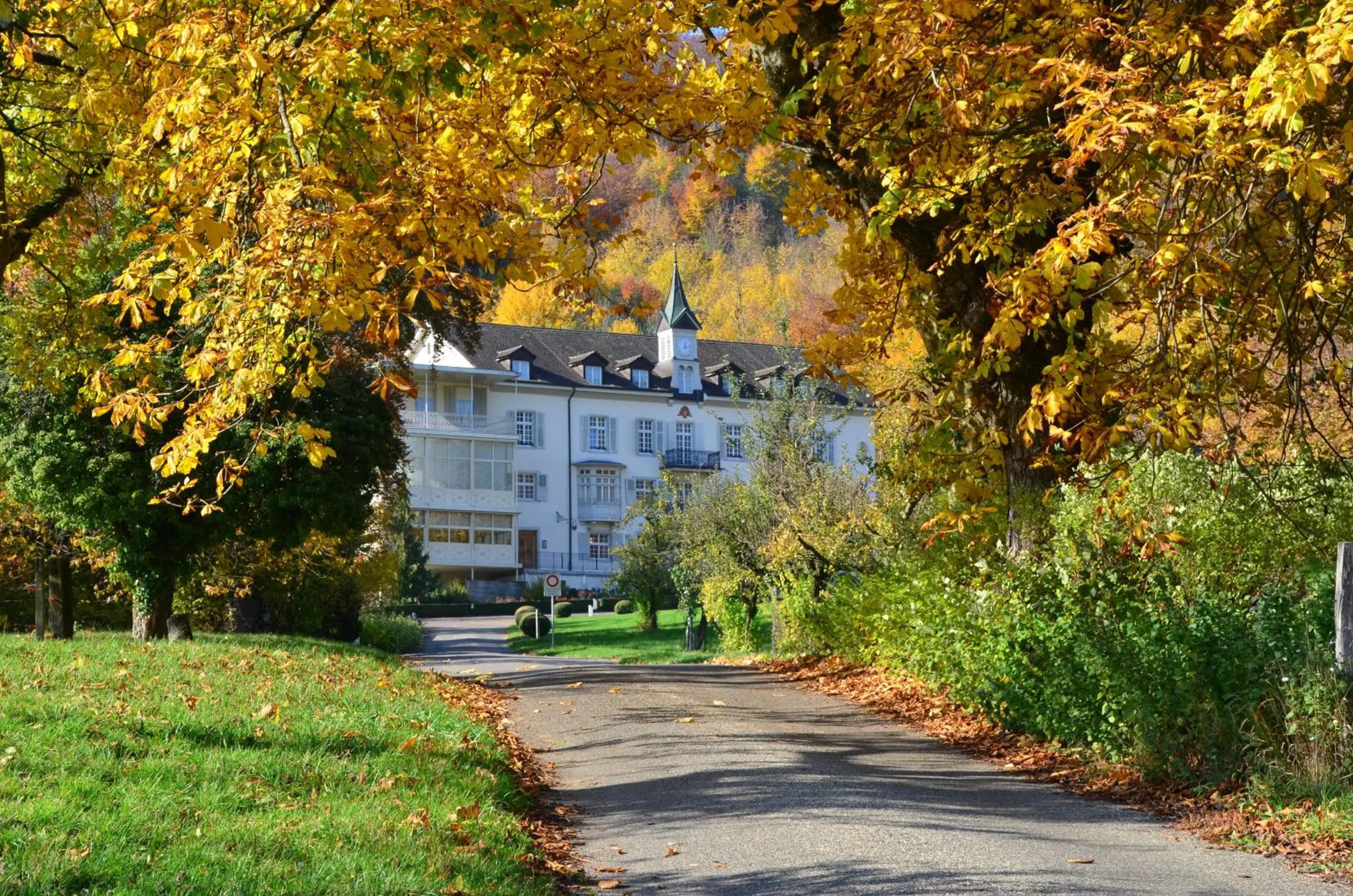 Property building in Bad Schauenburg