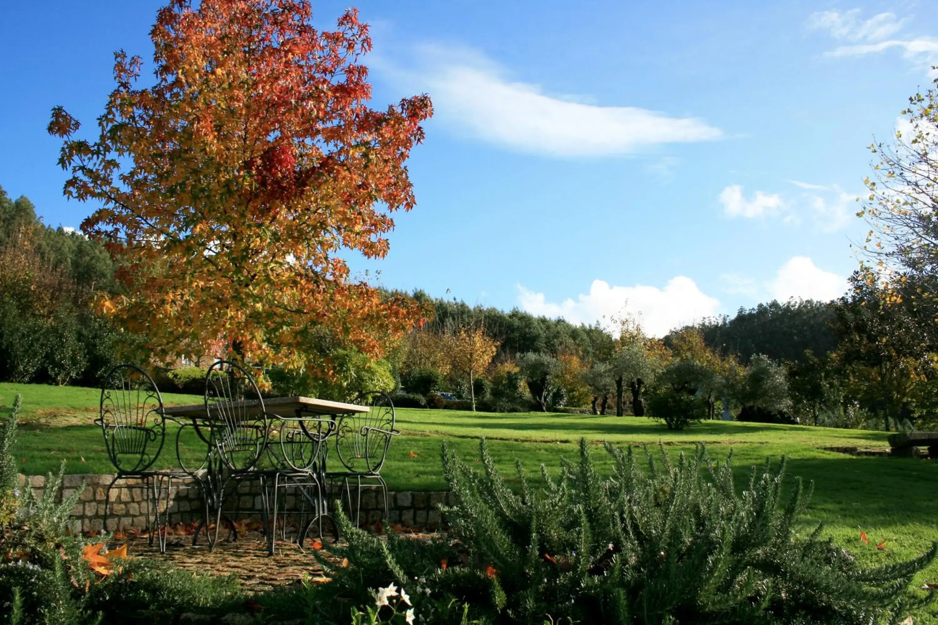 Garden in Casa Grande Do Bachao