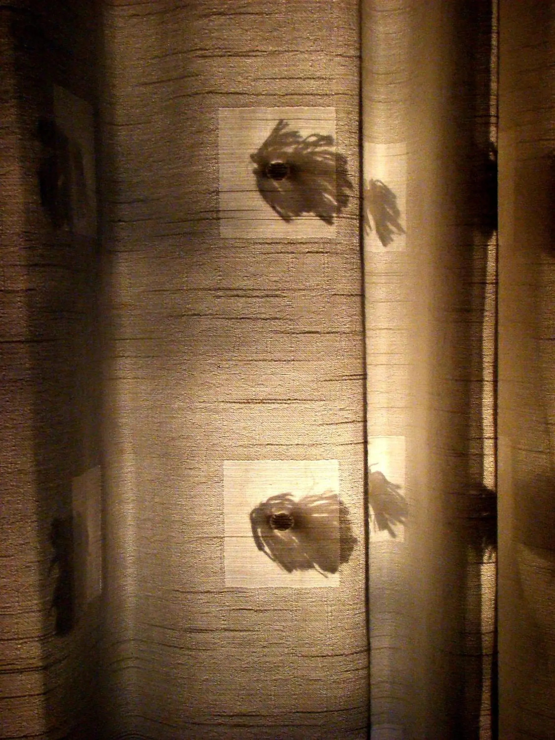 Living room in Teakwood villa Living room in Teakwood villa