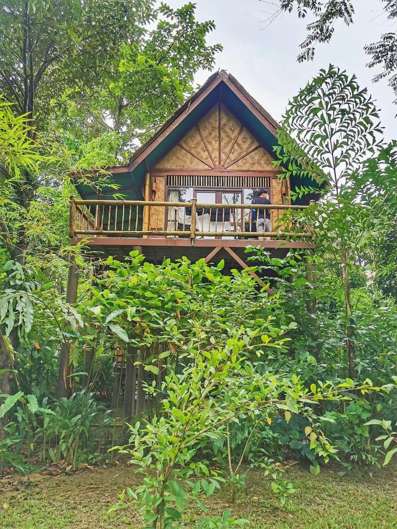 Garden, Property Building in Our Jungle Camp - Eco Resort SHA Certified