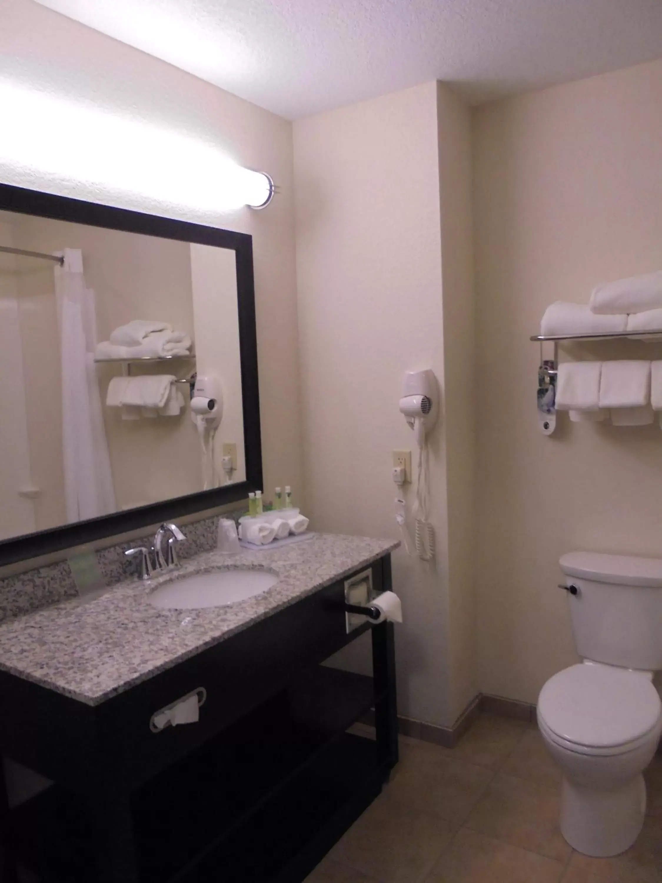 Bathroom in Holiday Inn Express & Suites Nevada, an IHG Hotel