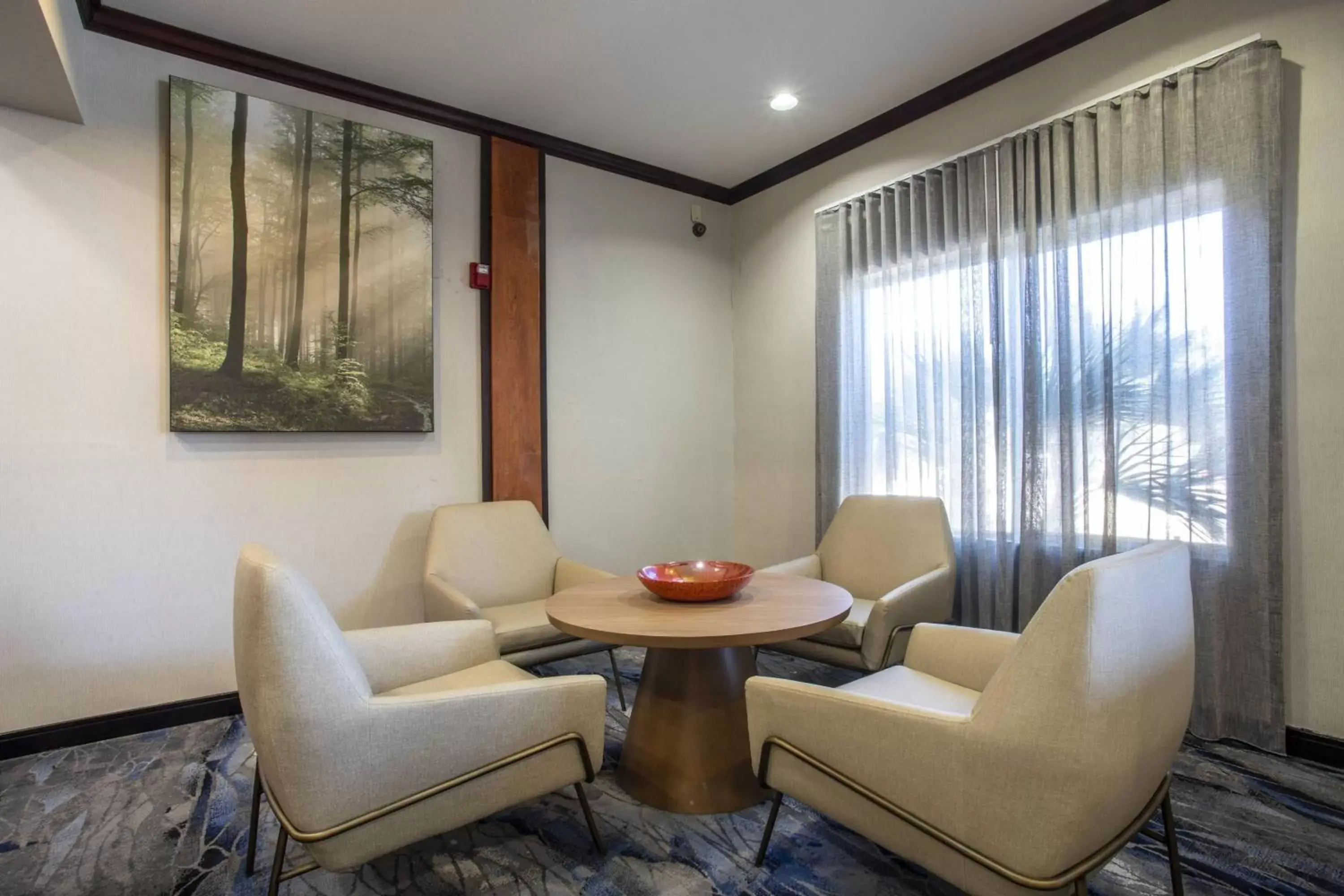 Lobby or reception, Seating Area in Fairfield Inn and Suites by Marriott San Antonio Boerne
