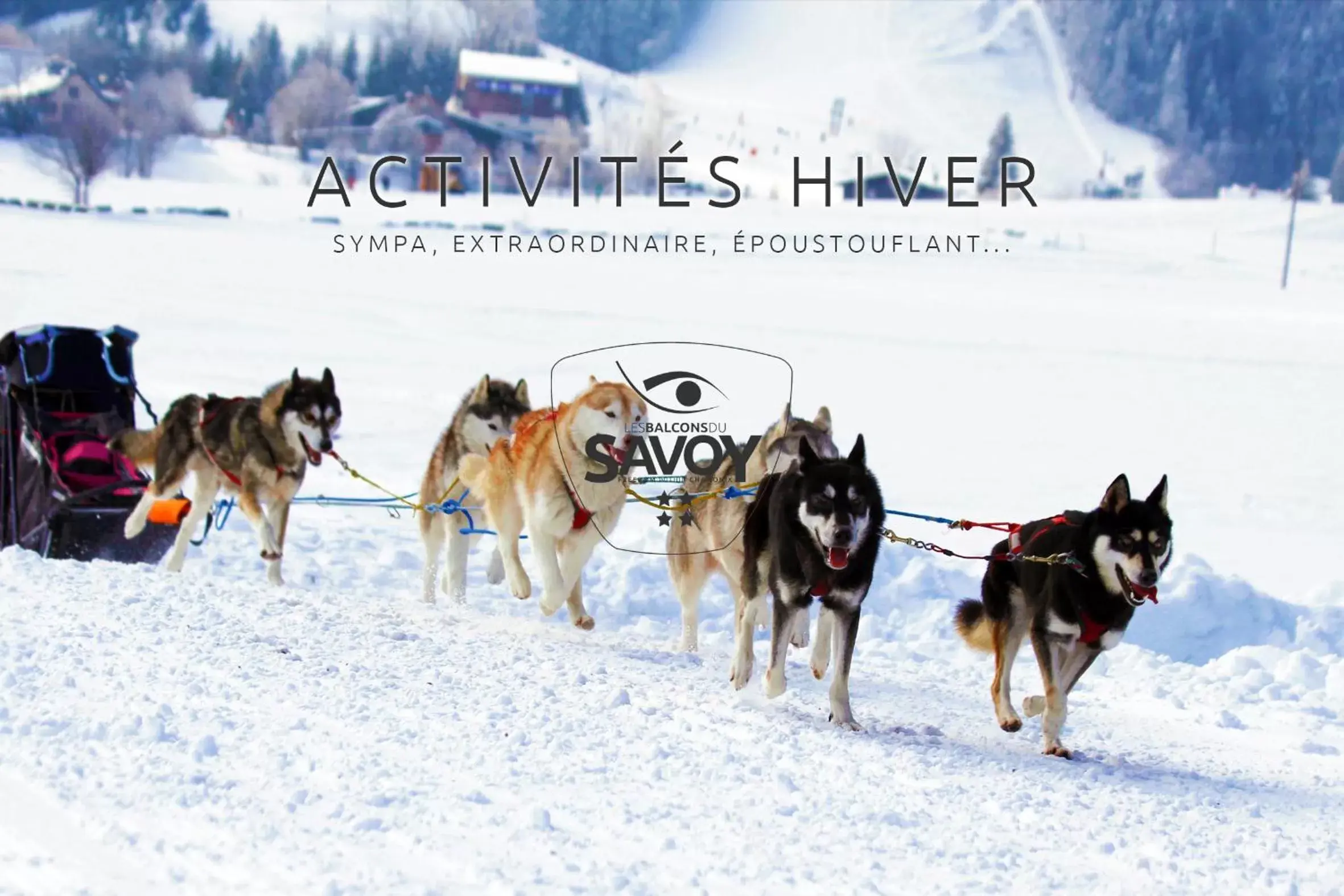Sports, Pets in Les Balcons du Savoy