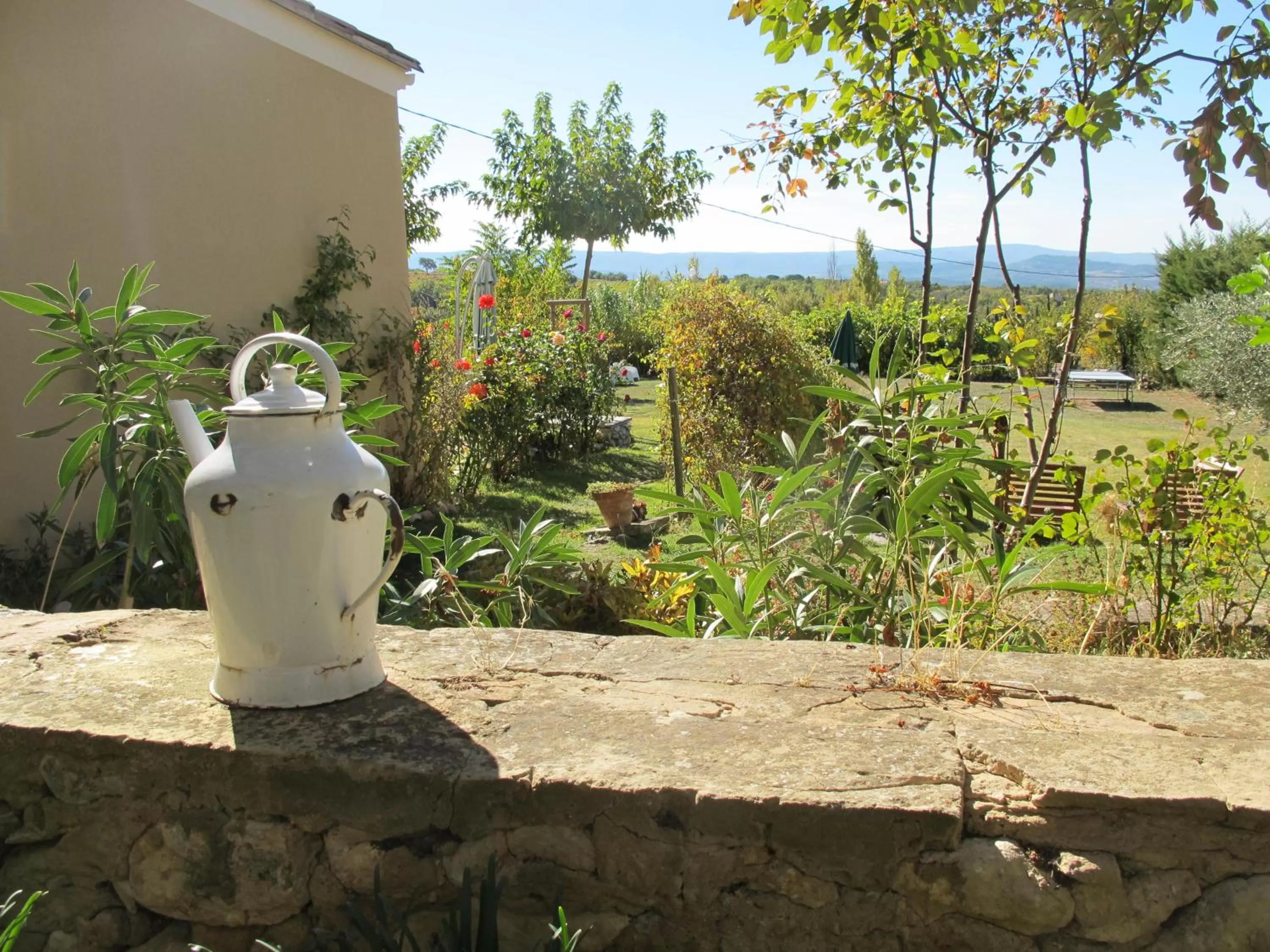 Garden in Lou Cardalines