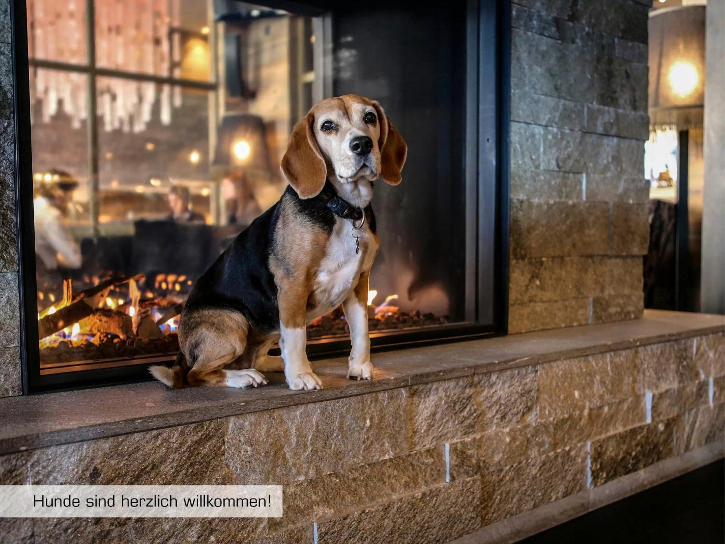 Lounge or bar in Grischa - Das Hotel Davos