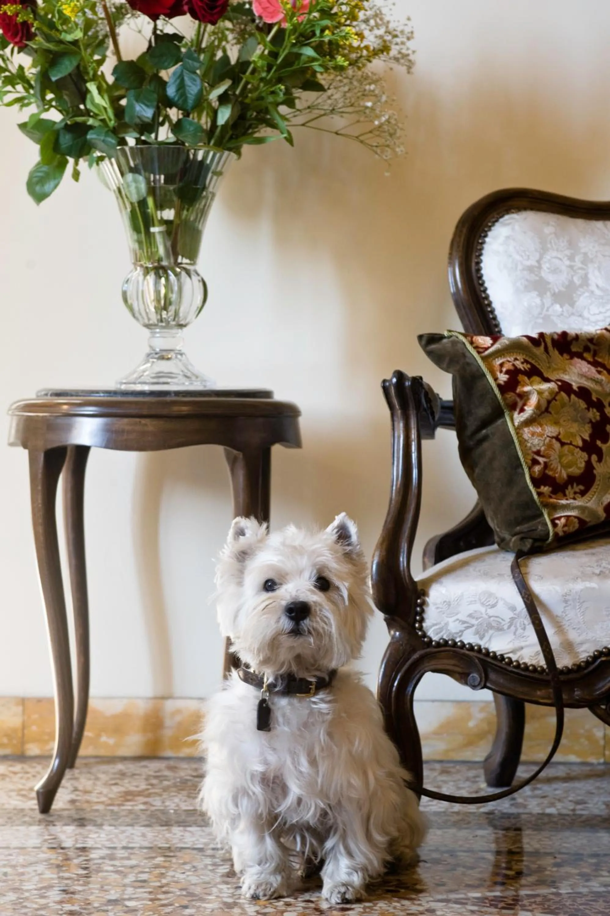 Other in Hotel Principe