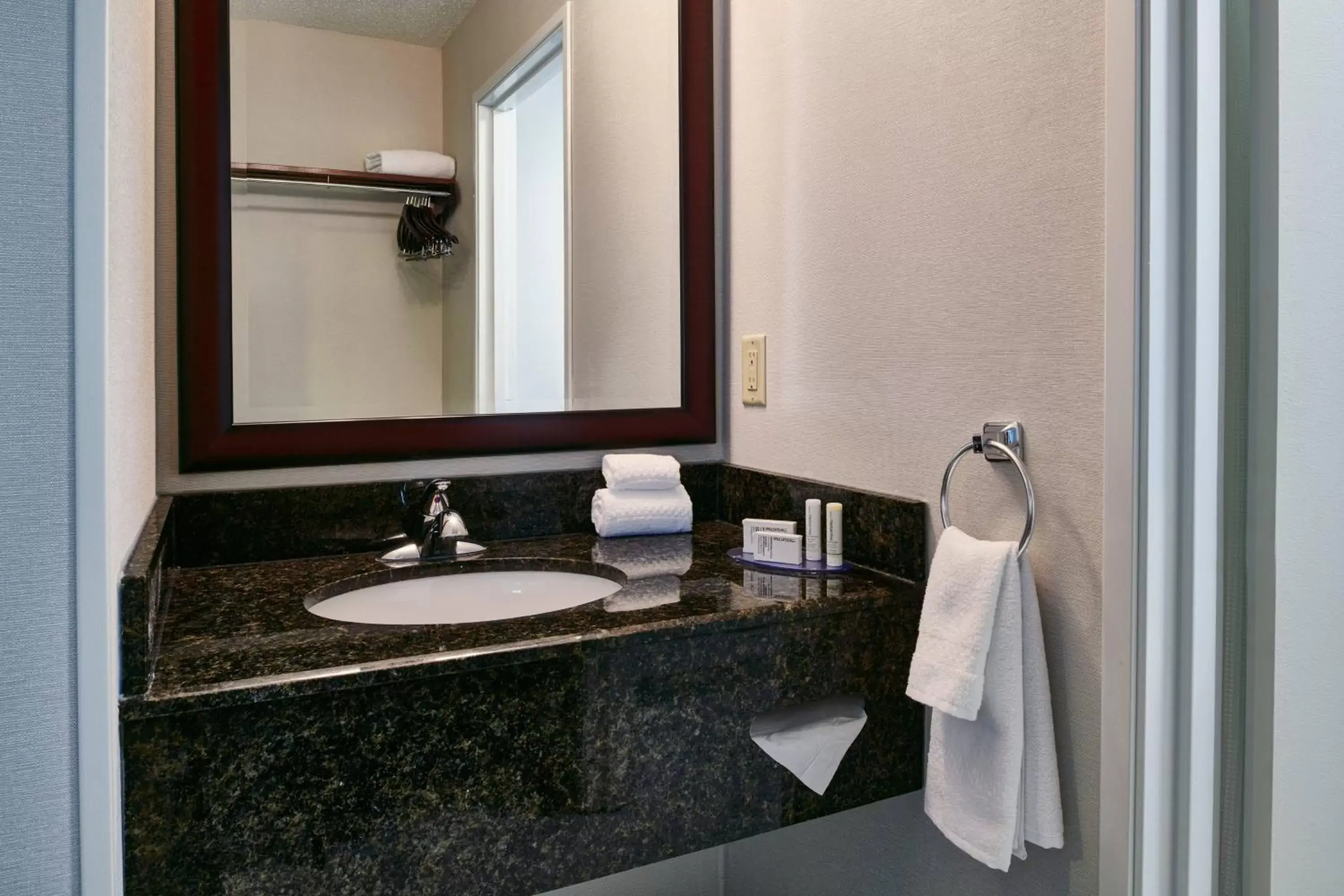 Bathroom in Fairfield Inn & Suites Detroit Livonia